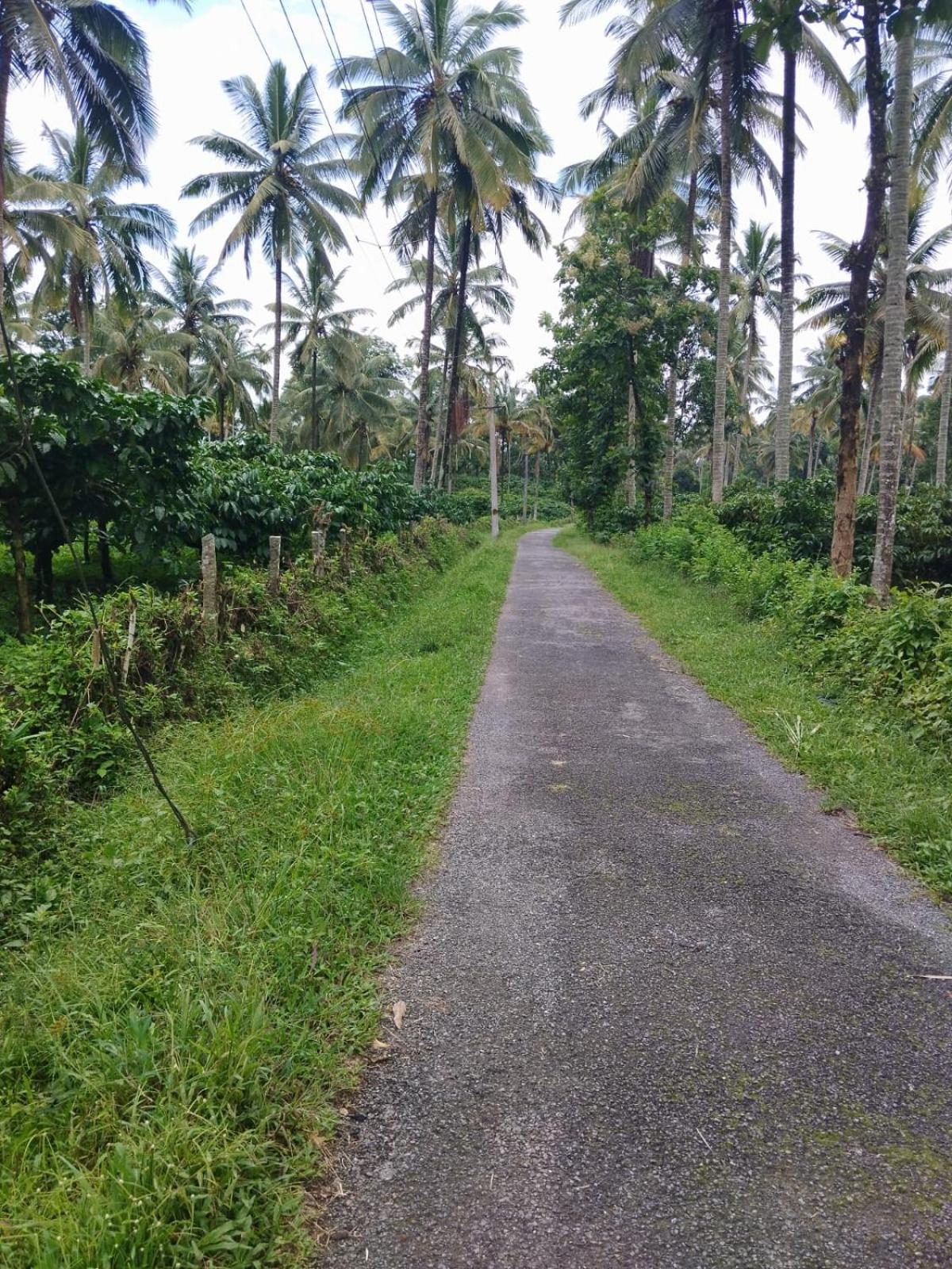 Bhuvanam homestay