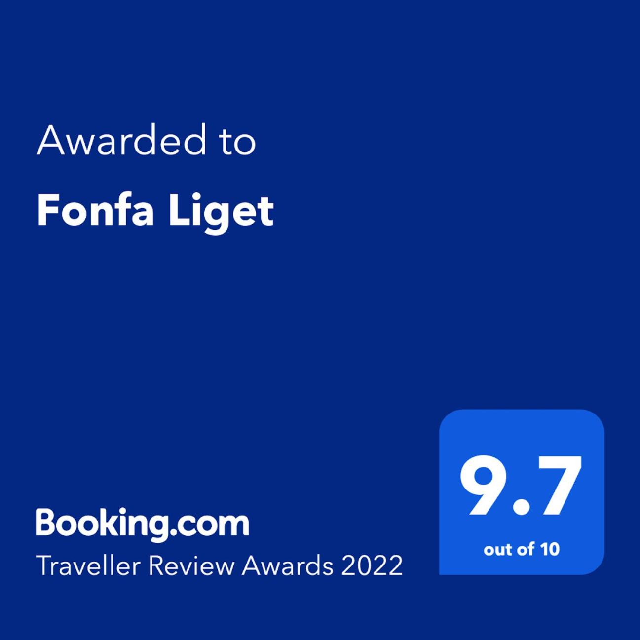 Fonfa Liget view 2