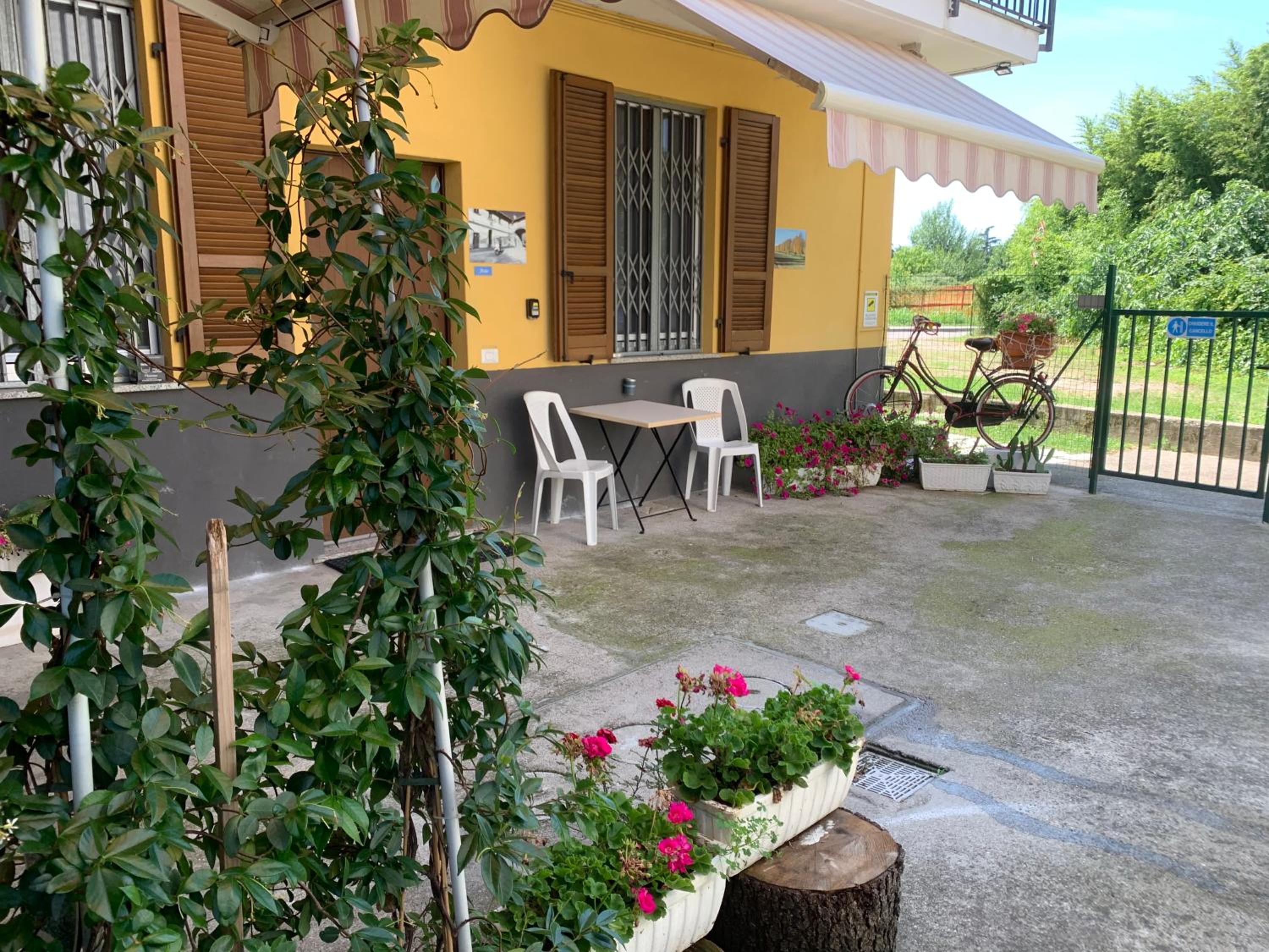 Photo 19