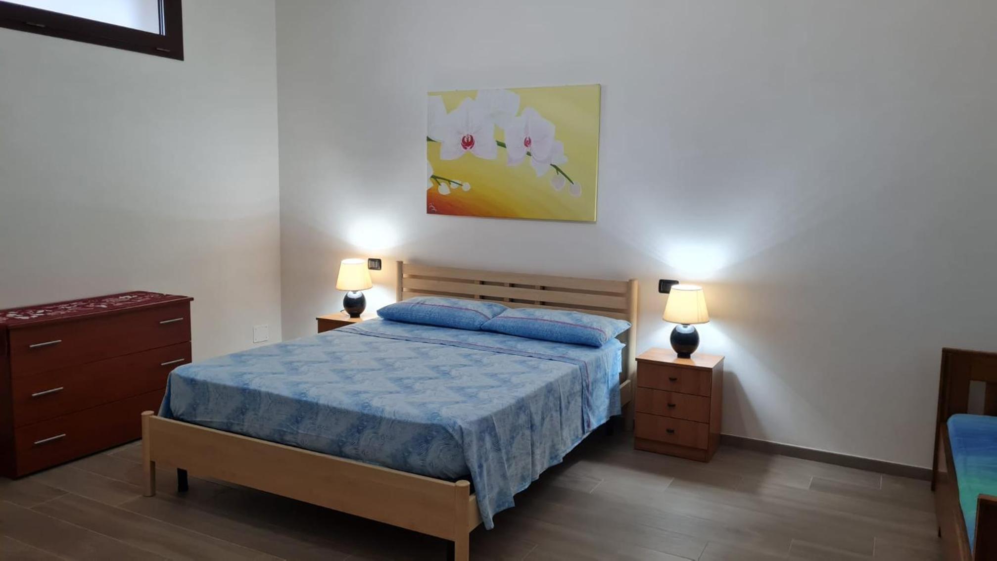 Dasylirion Vacanze