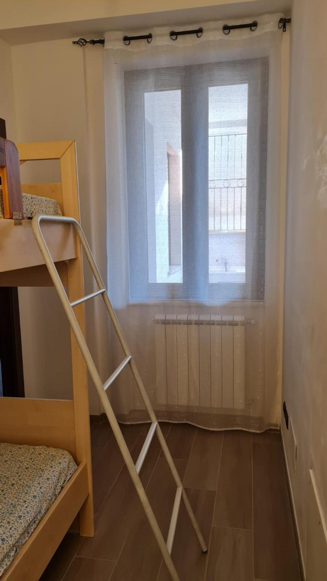 Dasylirion Vacanze