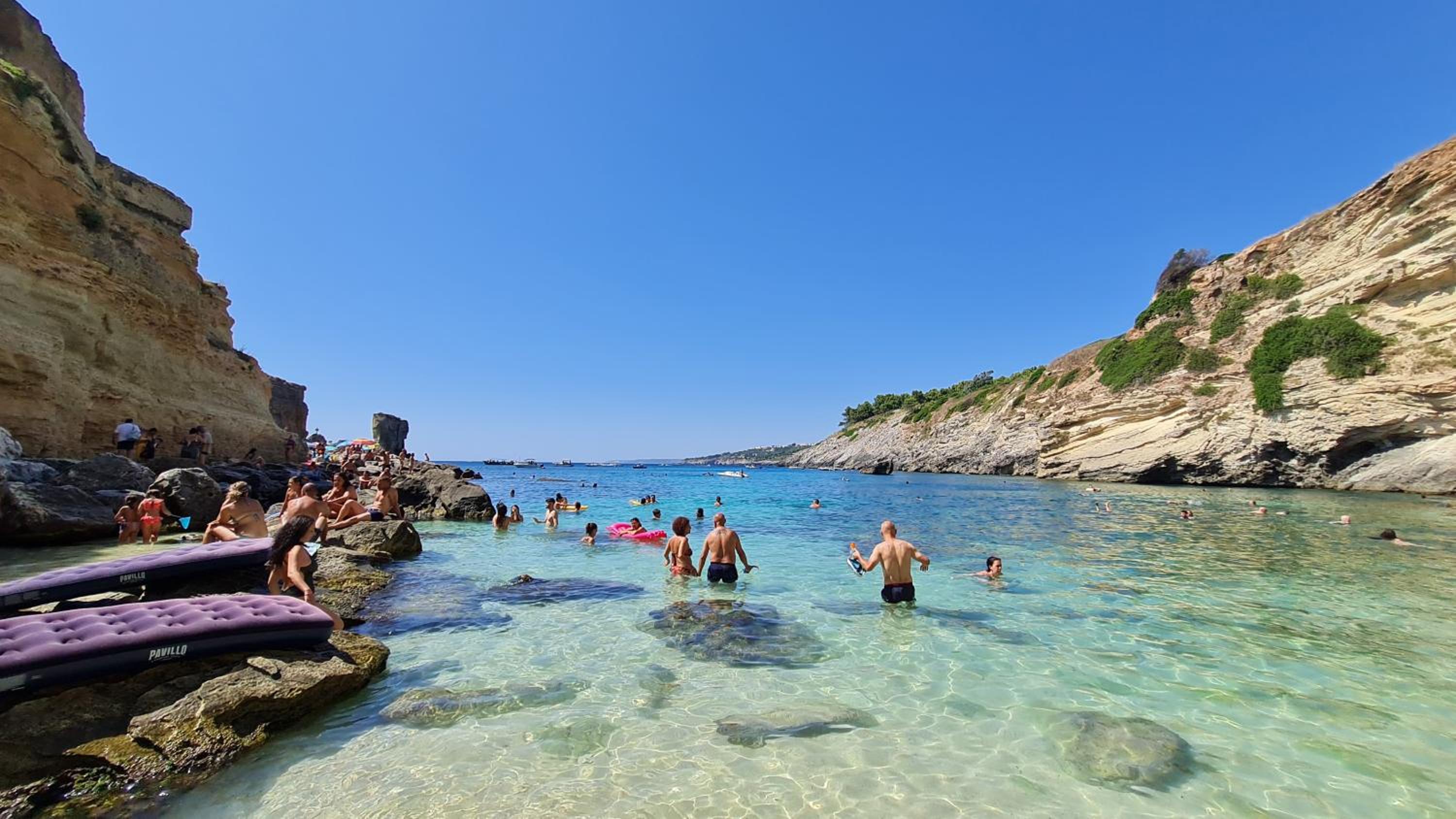 Dasylirion Vacanze