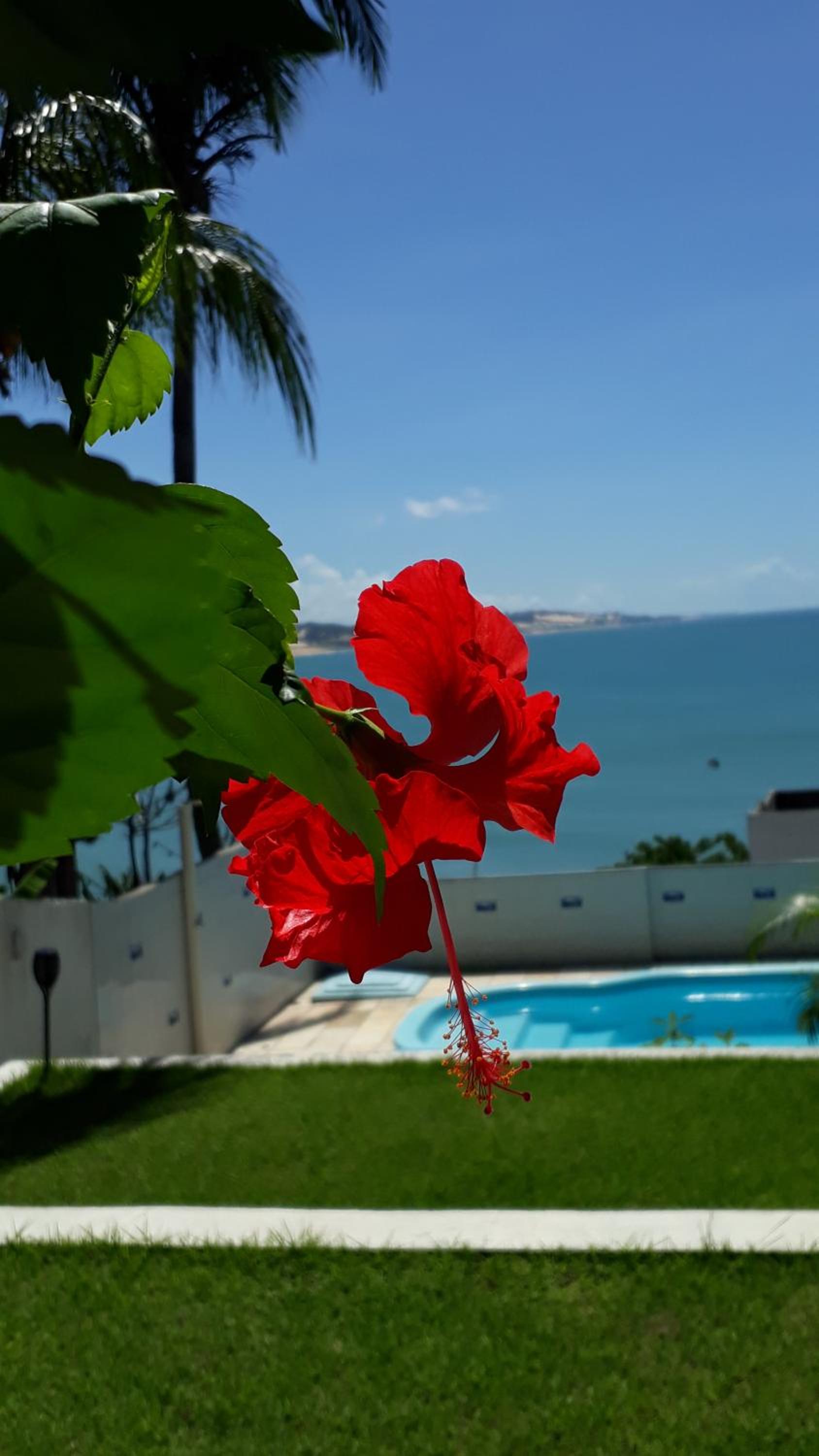Hotel Pousada Estacao Do Sol Natal