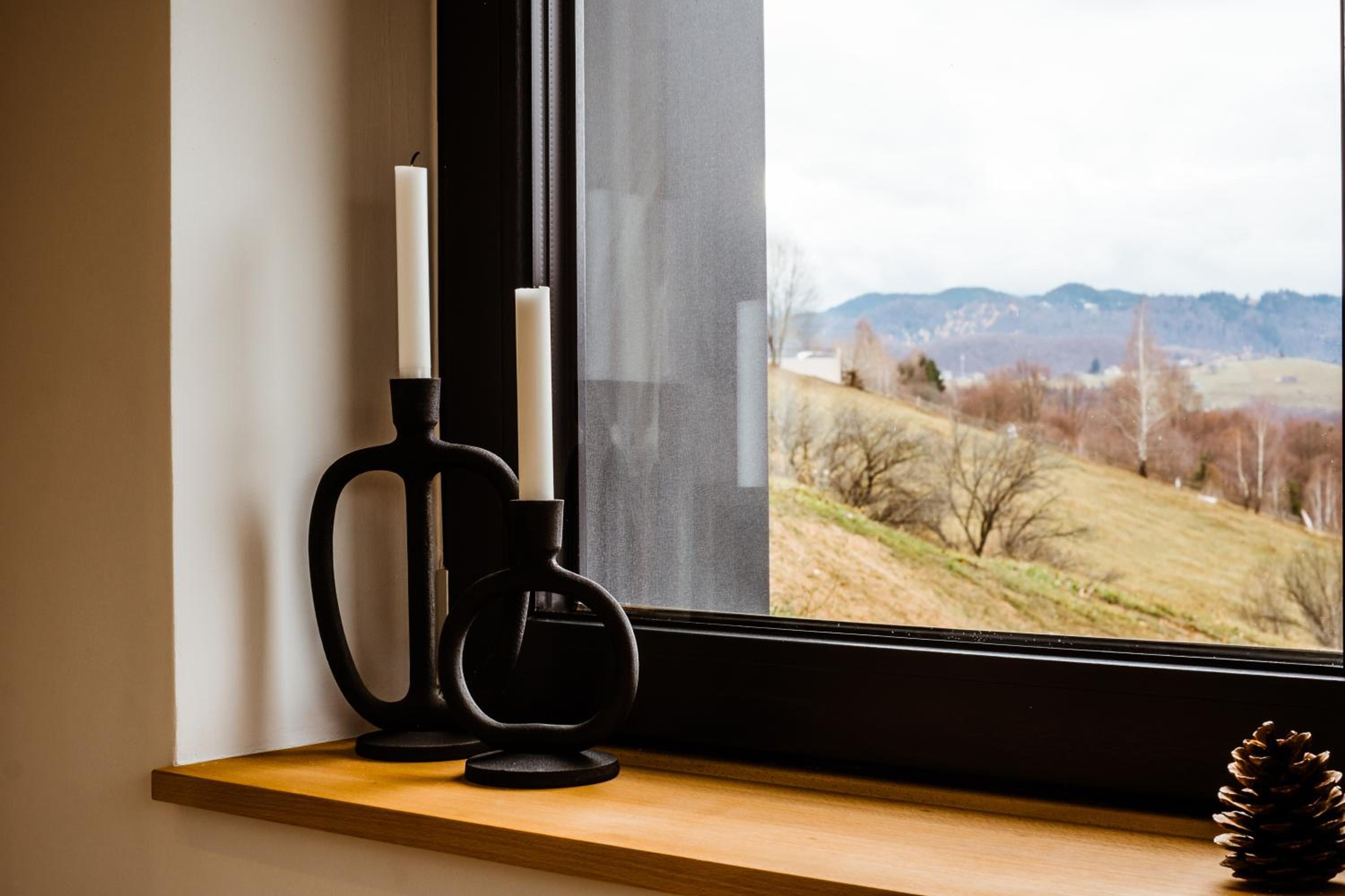 Amont Chalet view 5