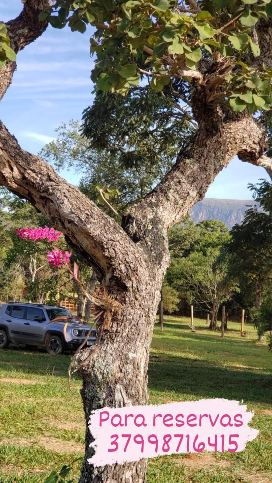 Pousada Águas da Canastra