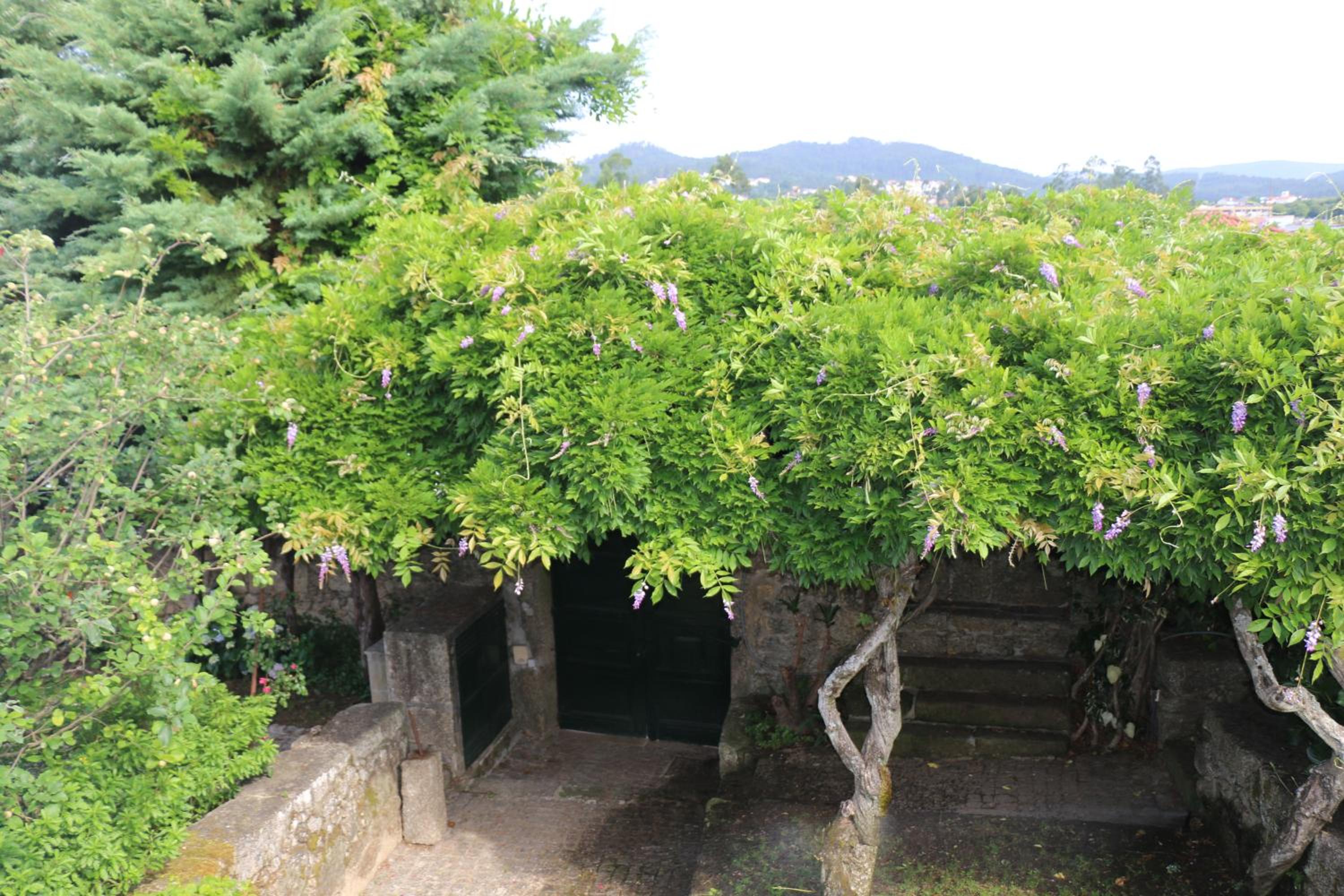 CASA DO ARCO - BARCELOS view 2