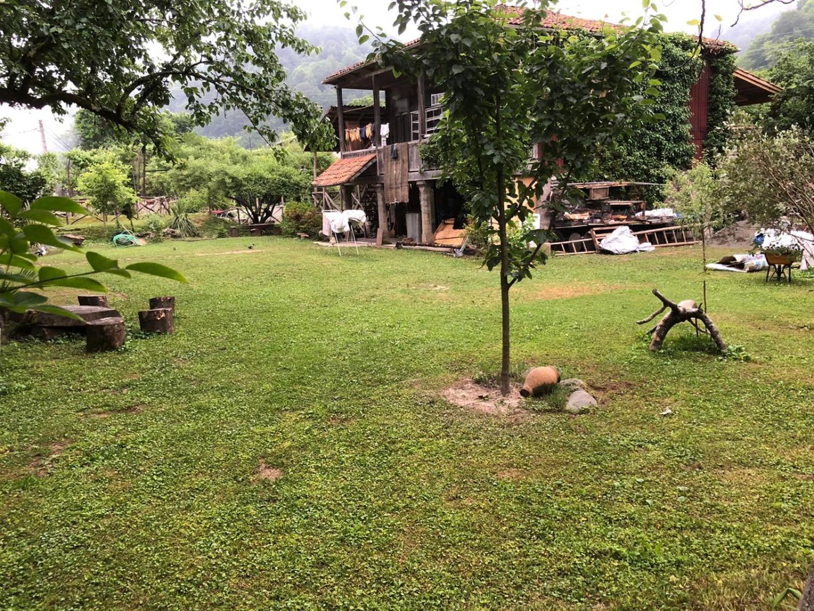 Photo 41
