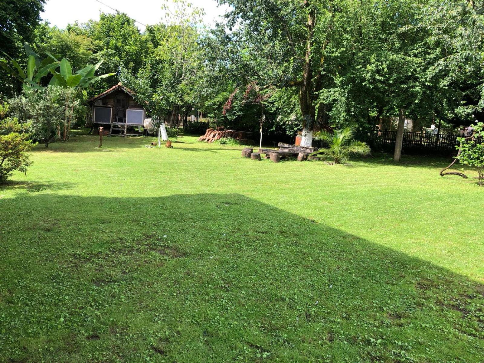 Photo 45