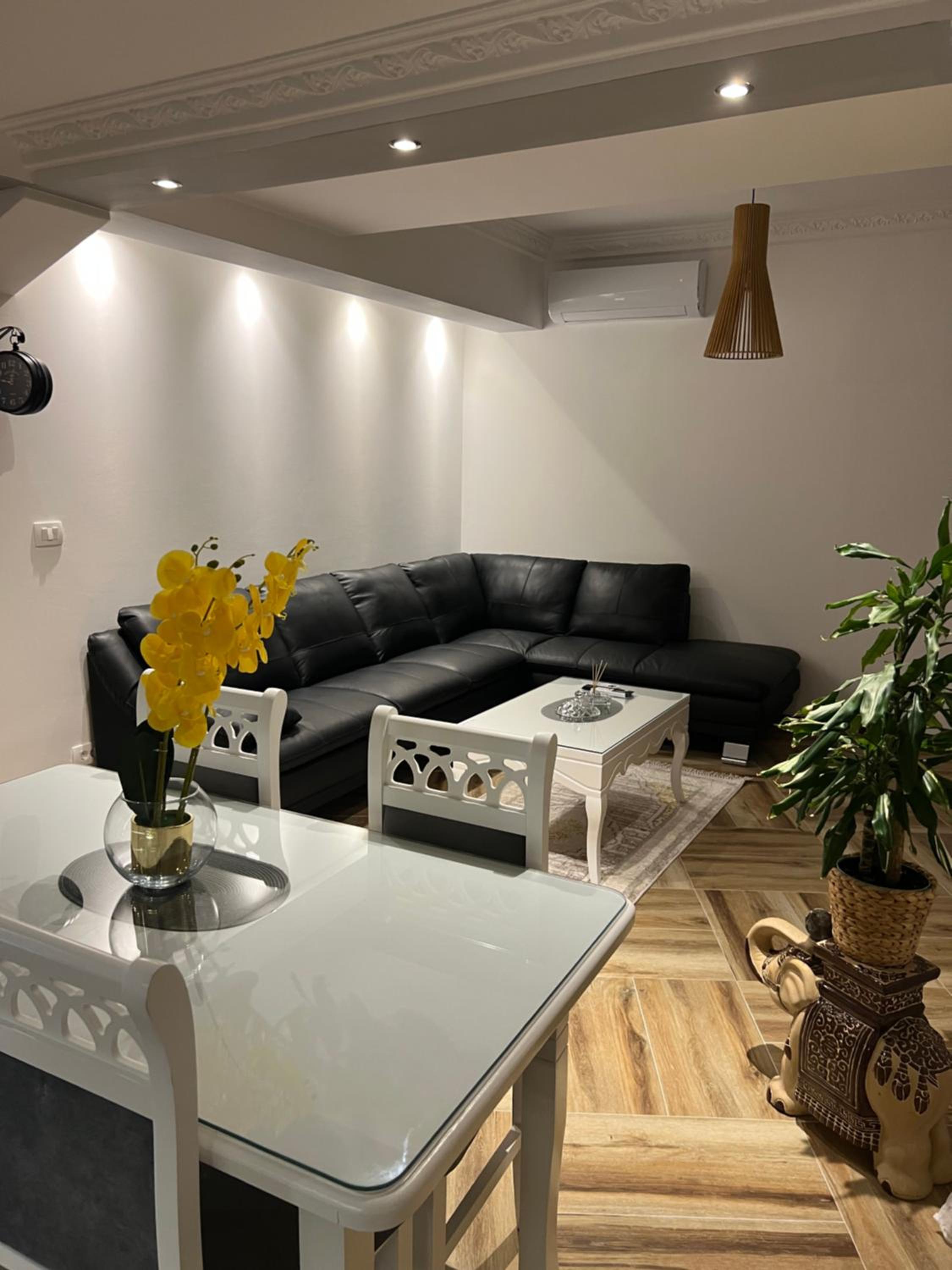 Apartman Scepanovic, photo 37