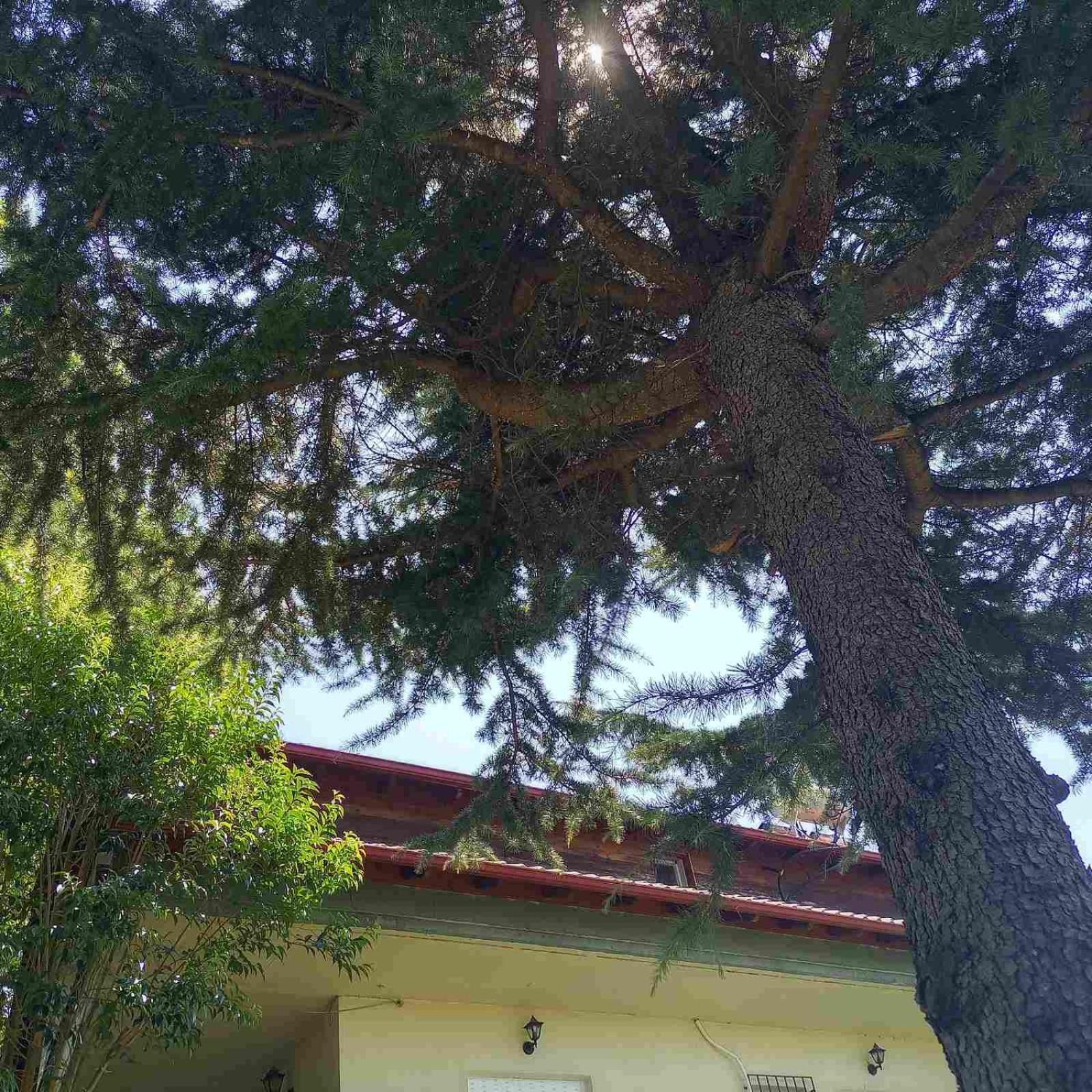 SPIROS APARTMENTS