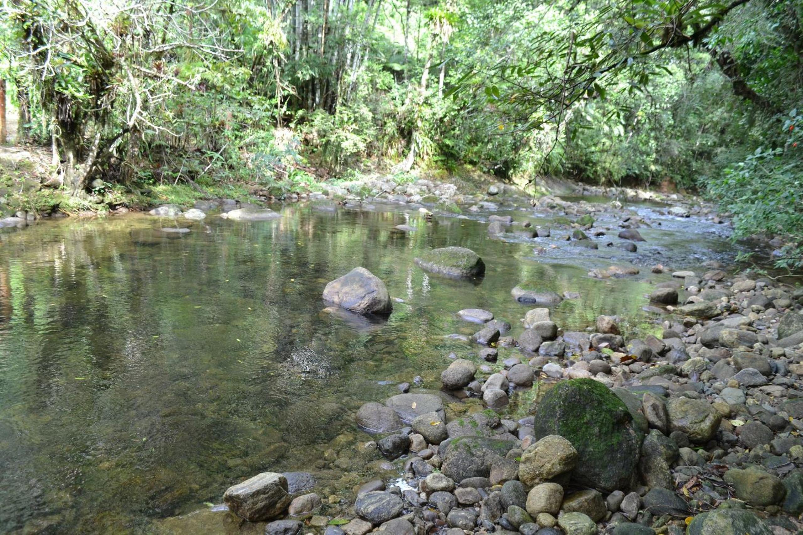 Camburi 5 quartos com piscina natural