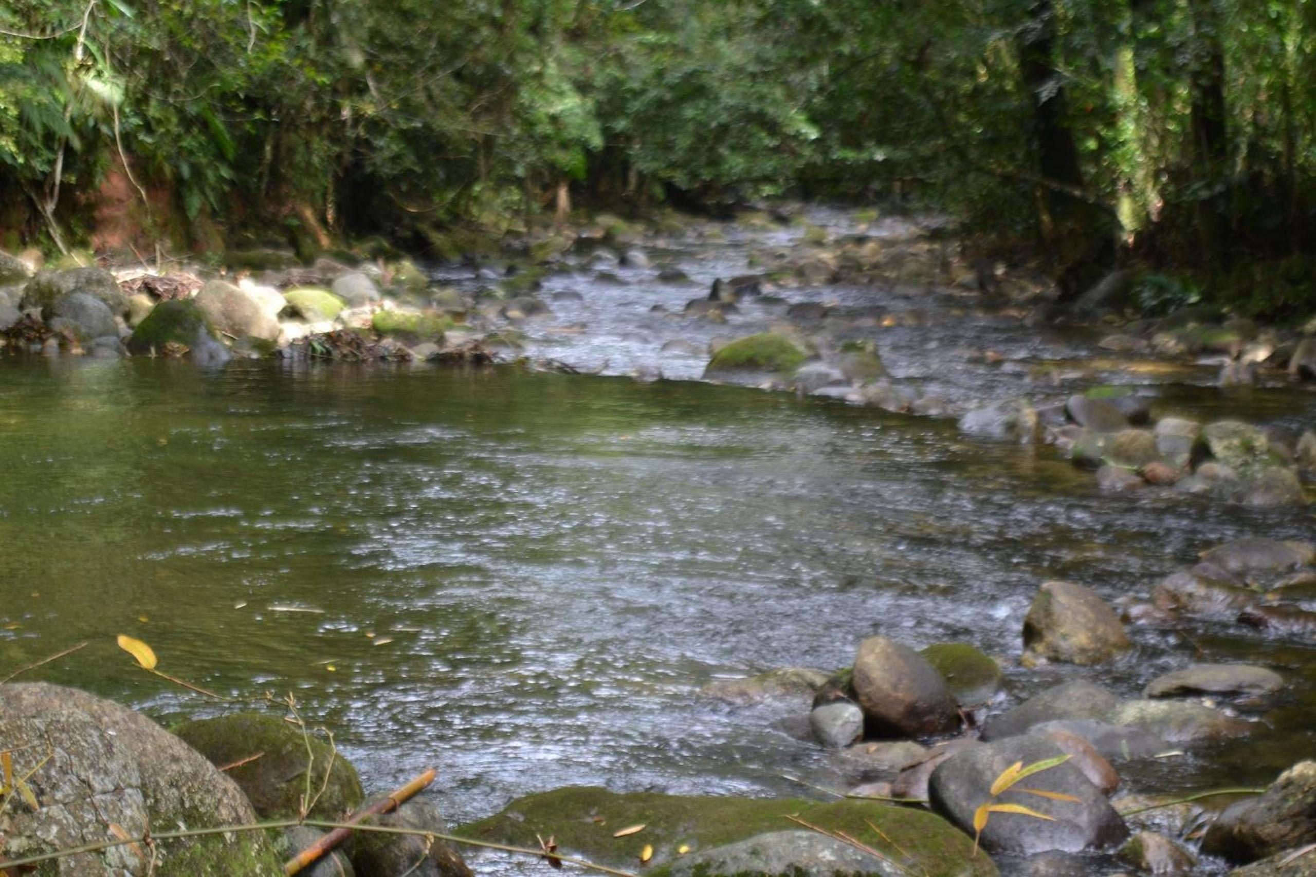 Camburi 5 quartos com piscina natural