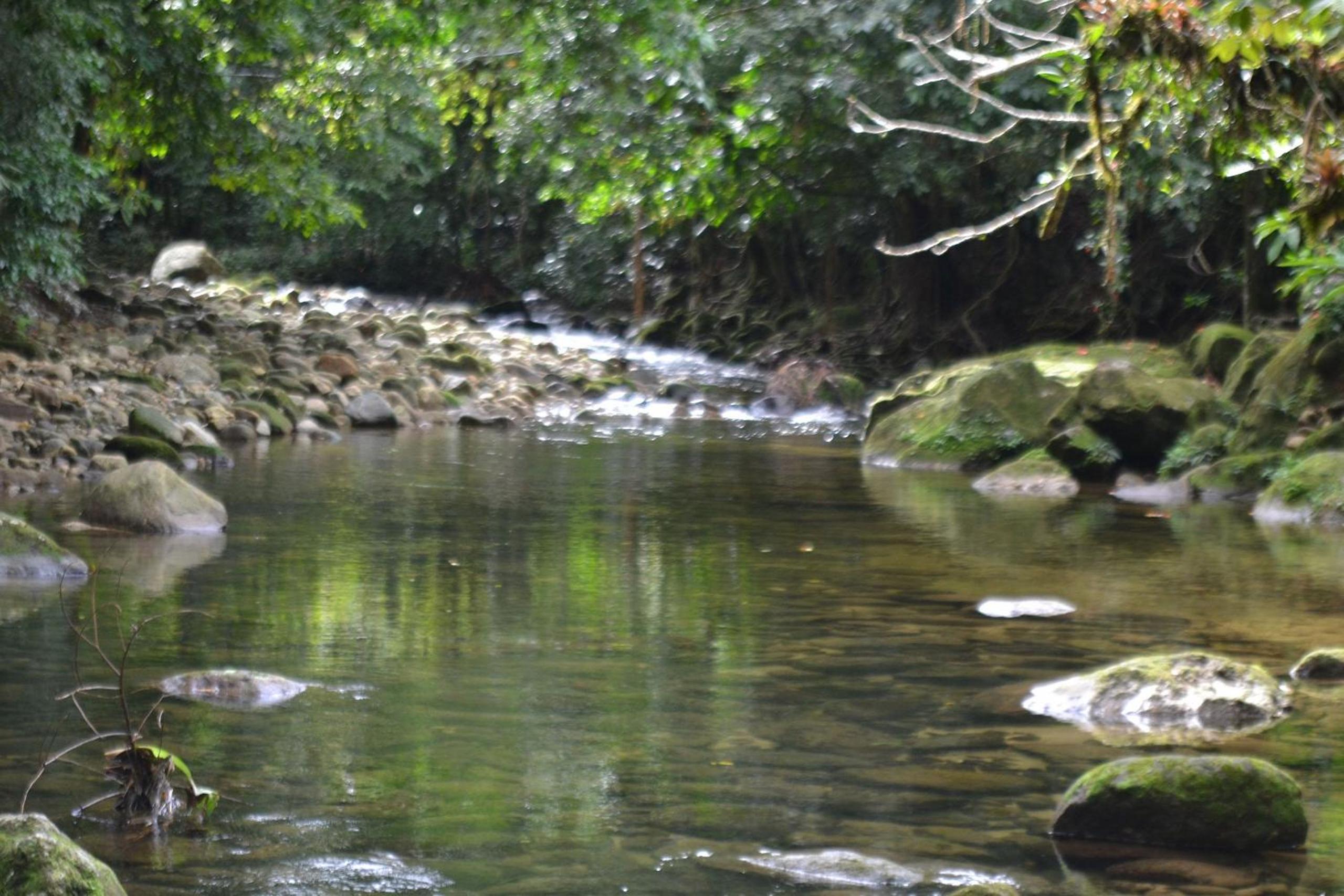 Camburi 5 quartos com piscina natural