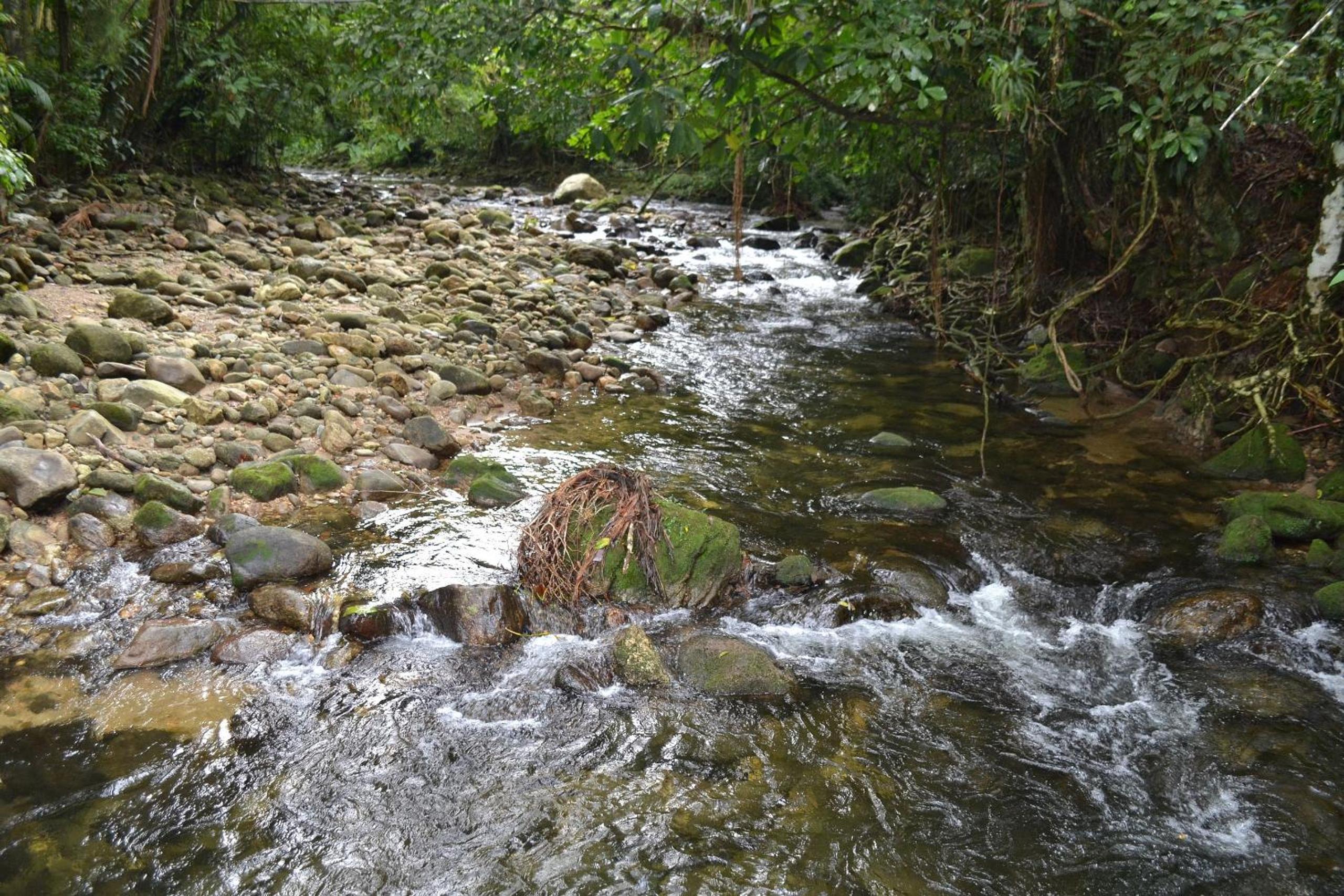 Camburi 5 quartos com piscina natural