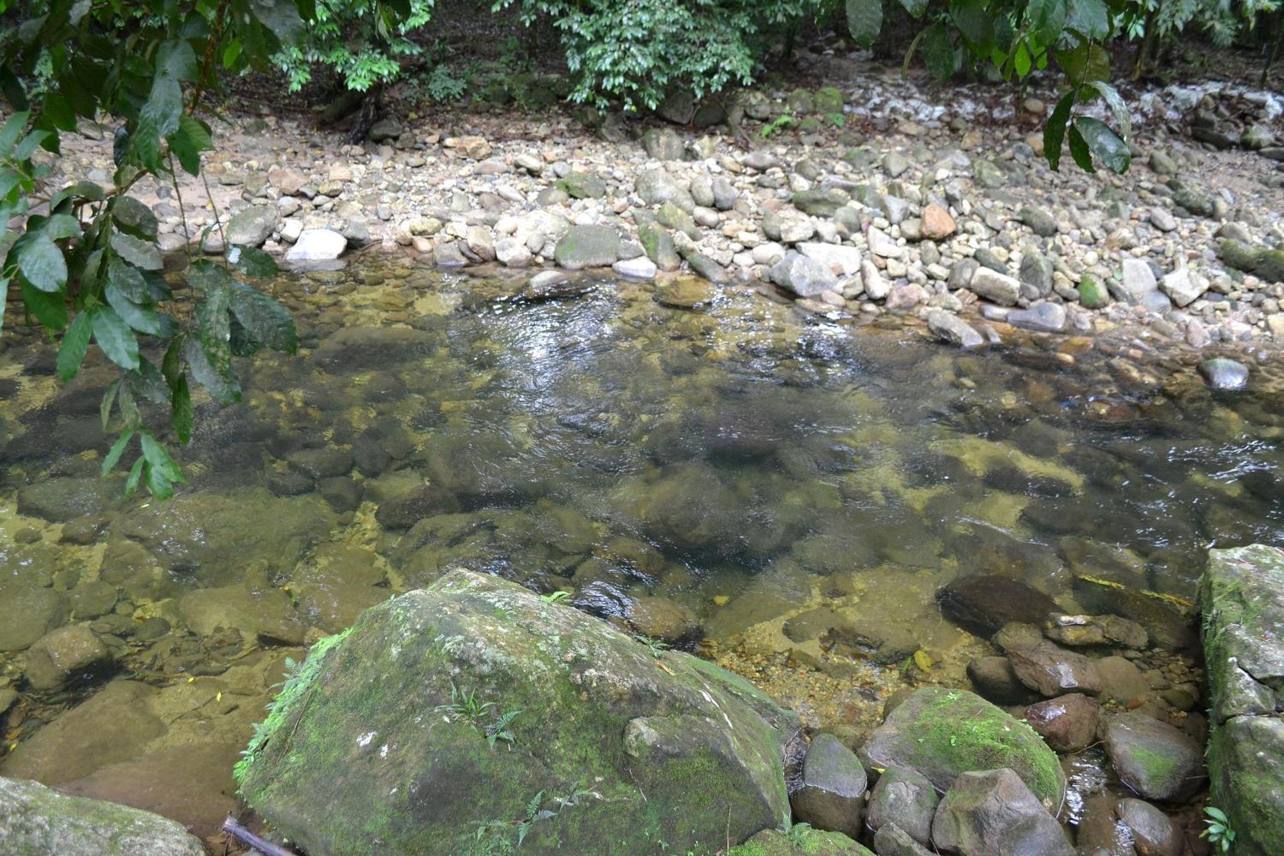 Camburi 5 quartos com piscina natural
