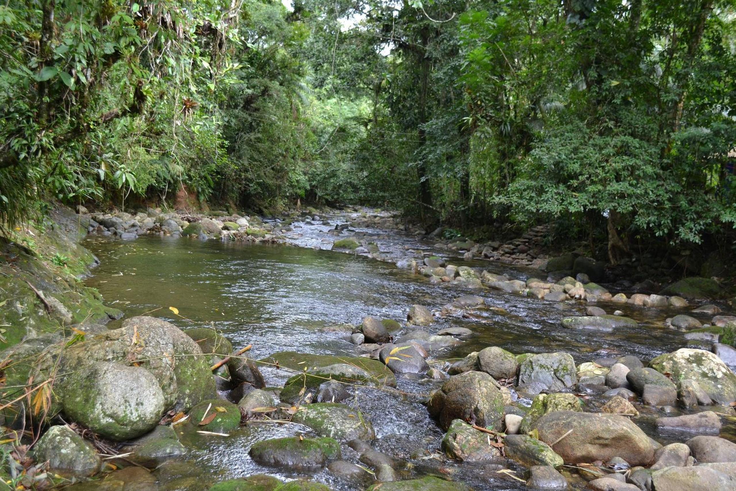 Camburi 5 quartos com piscina natural
