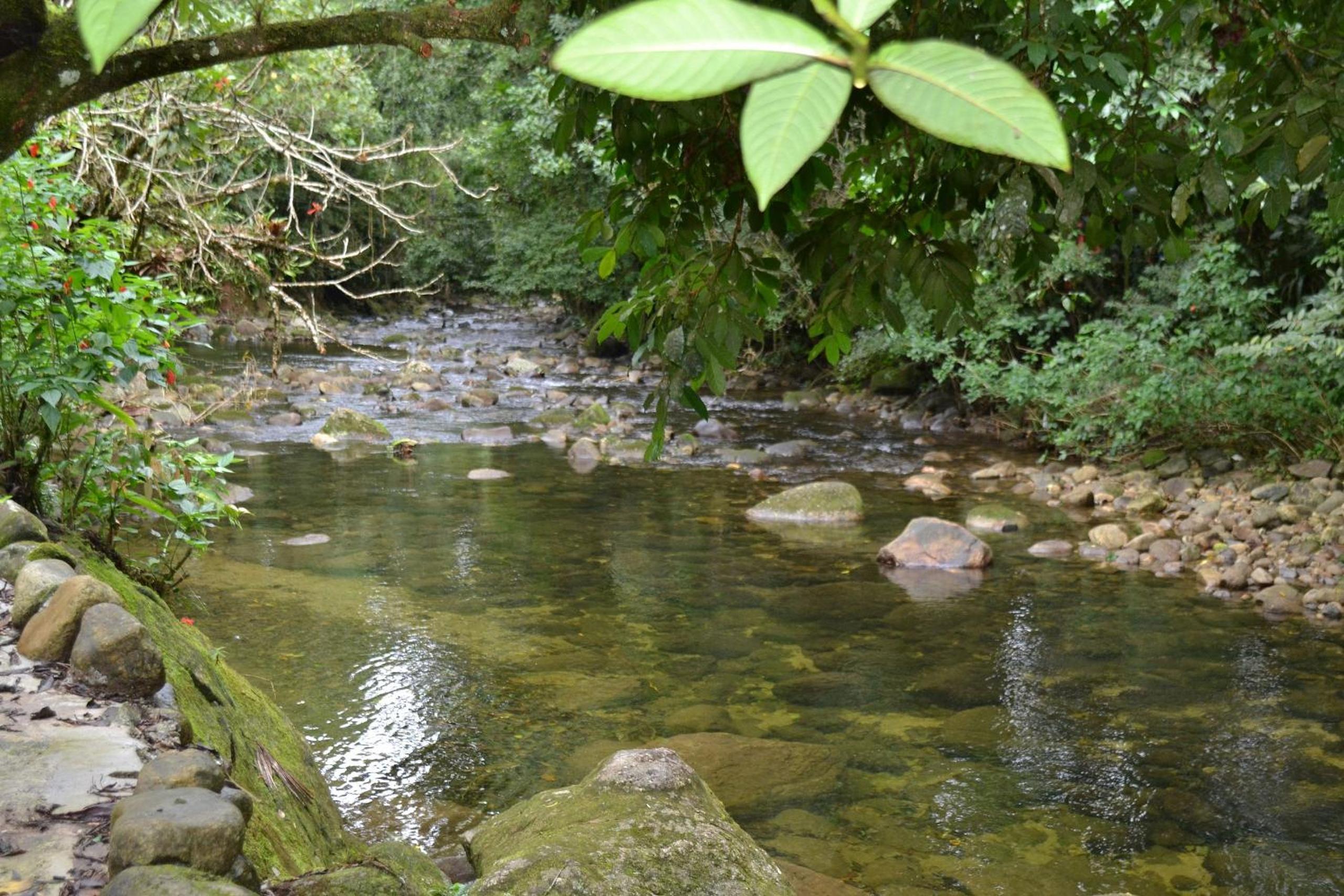 Camburi 5 quartos com piscina natural