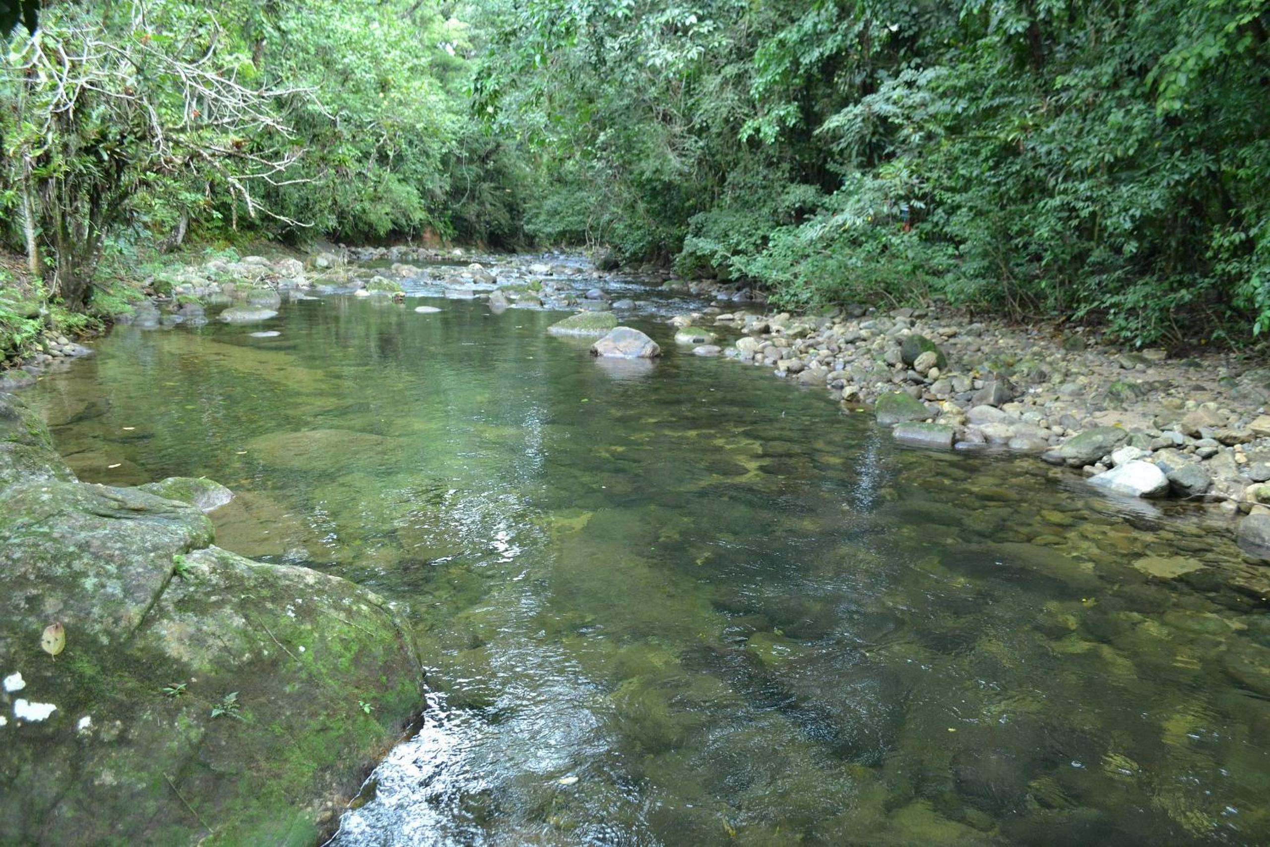 Camburi 5 quartos com piscina natural