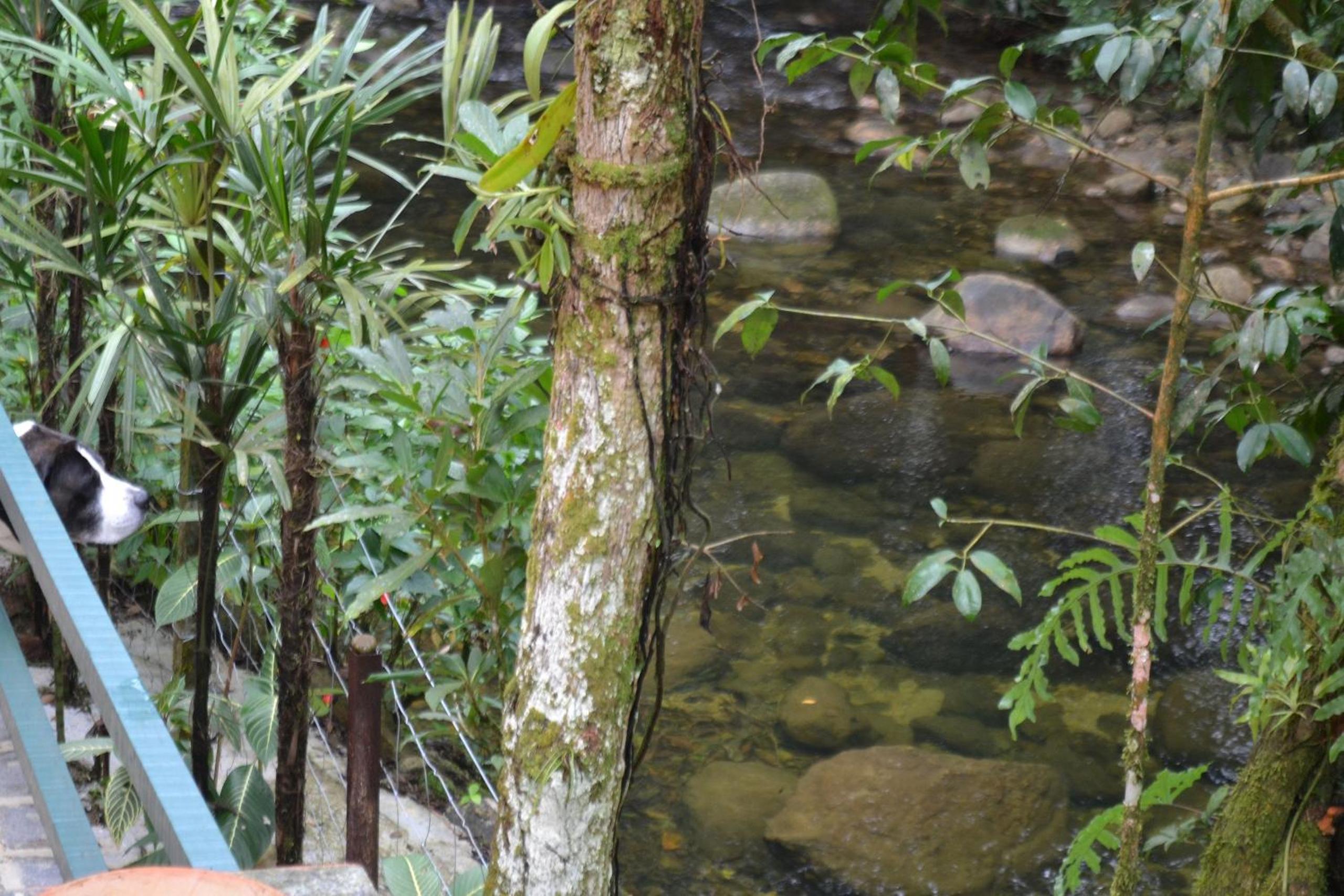 Camburi 5 quartos com piscina natural