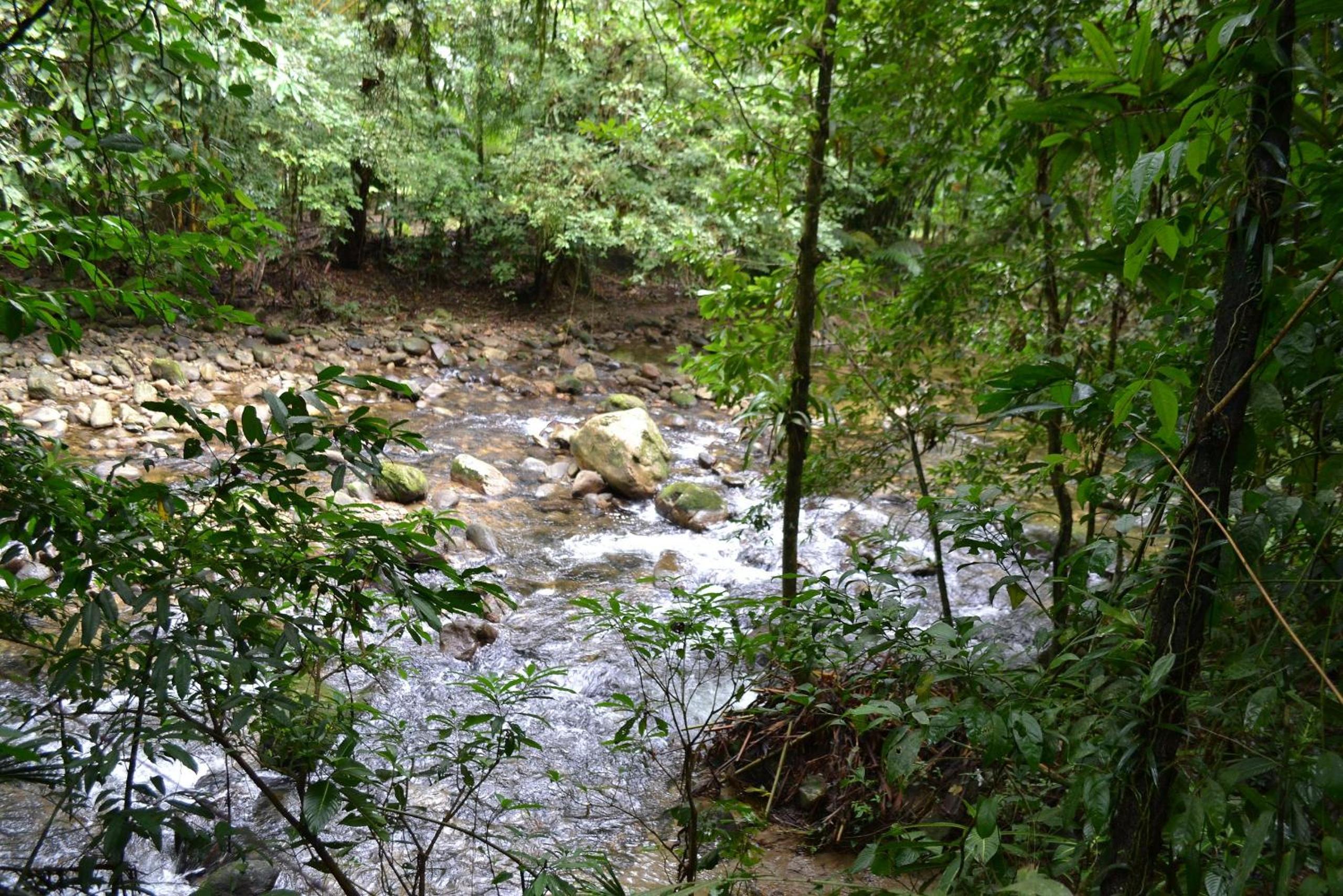 Camburi 5 quartos com piscina natural