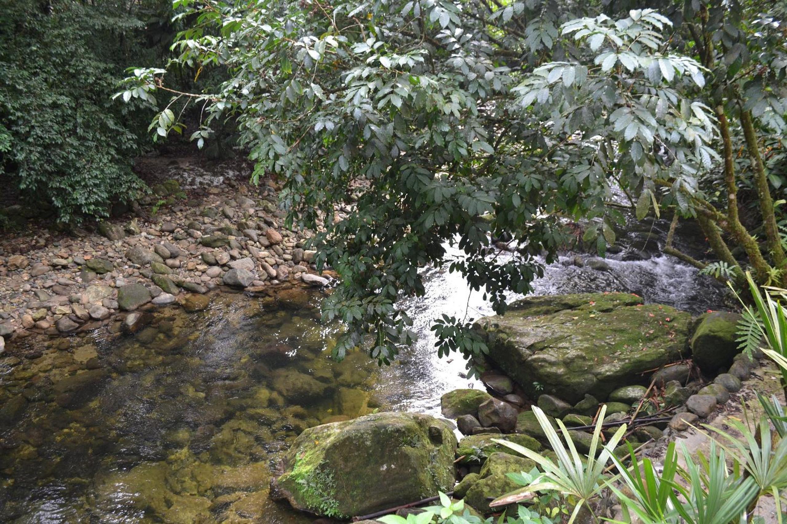 Camburi 5 quartos com piscina natural