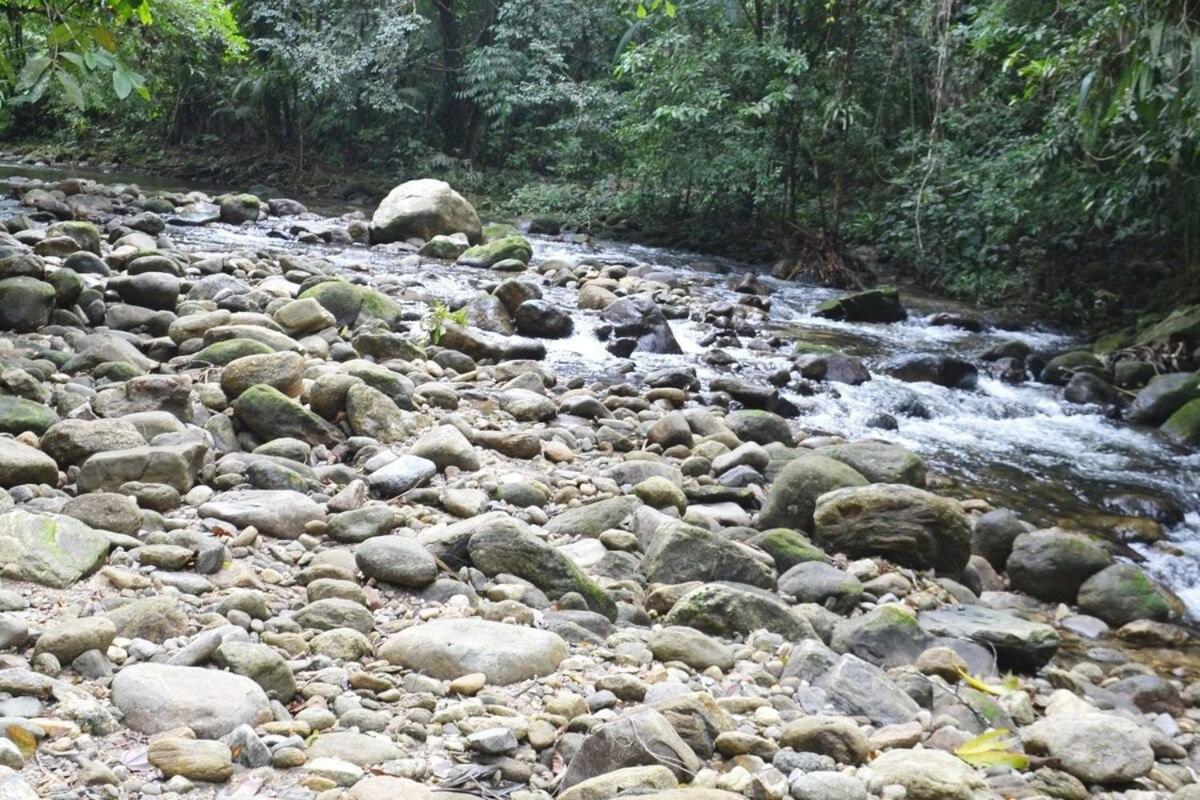 Camburi 5 quartos com piscina natural