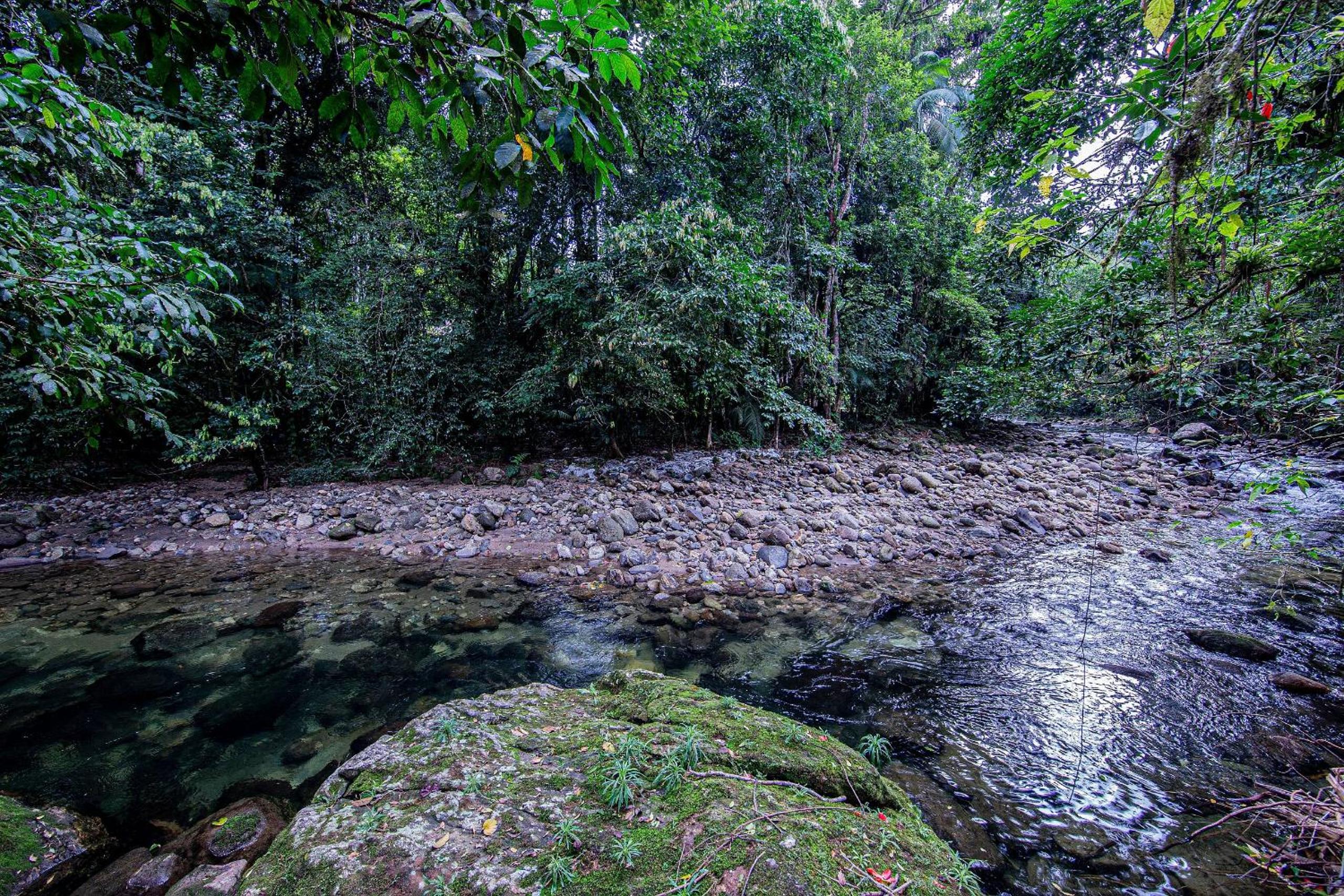 Camburi 5 quartos com piscina natural