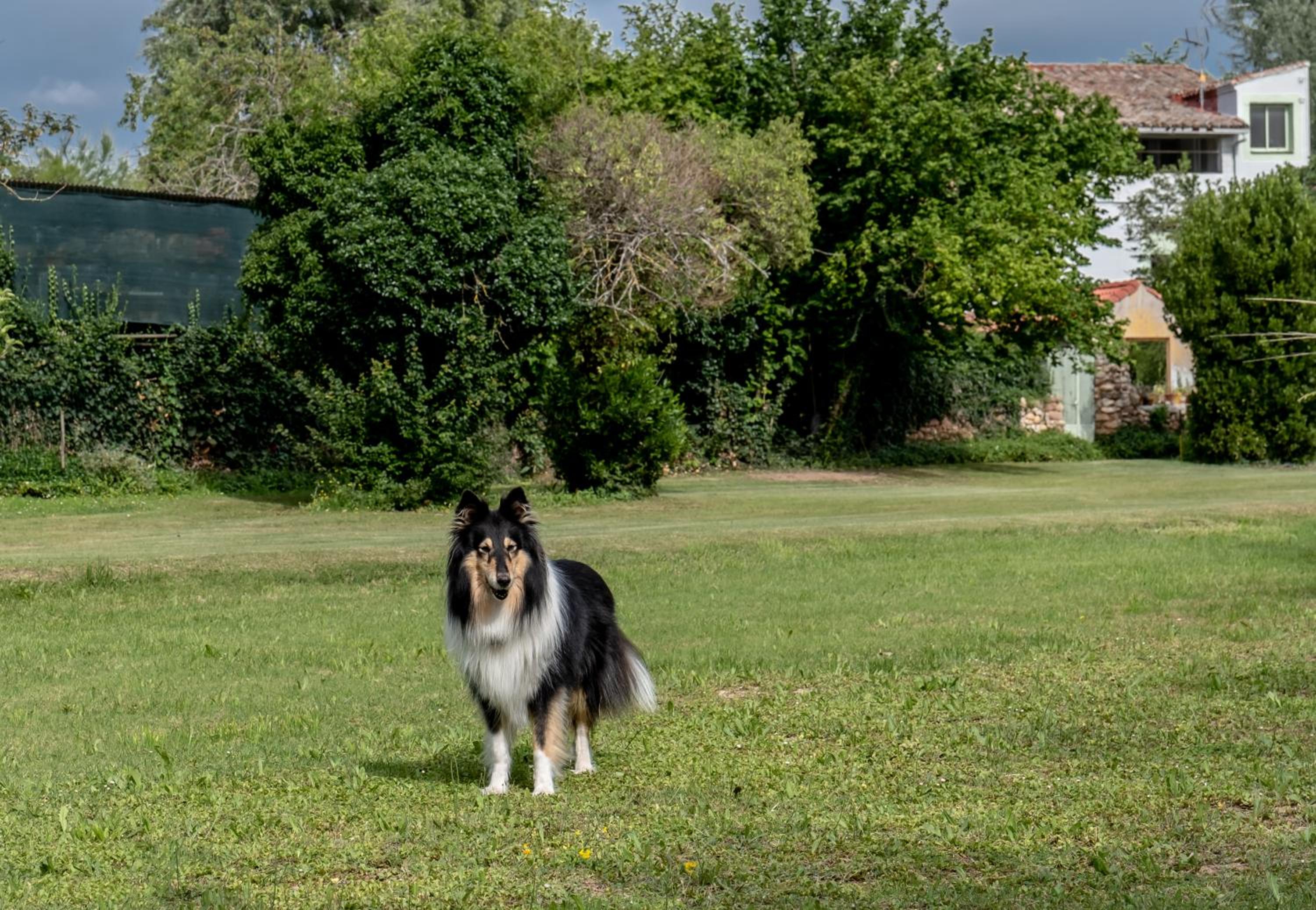 Photo 14