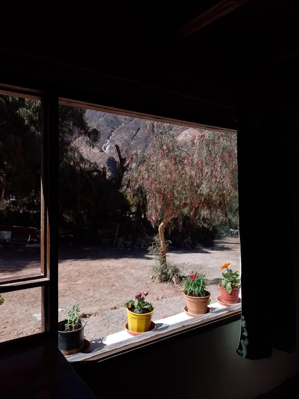 Cabañas APU