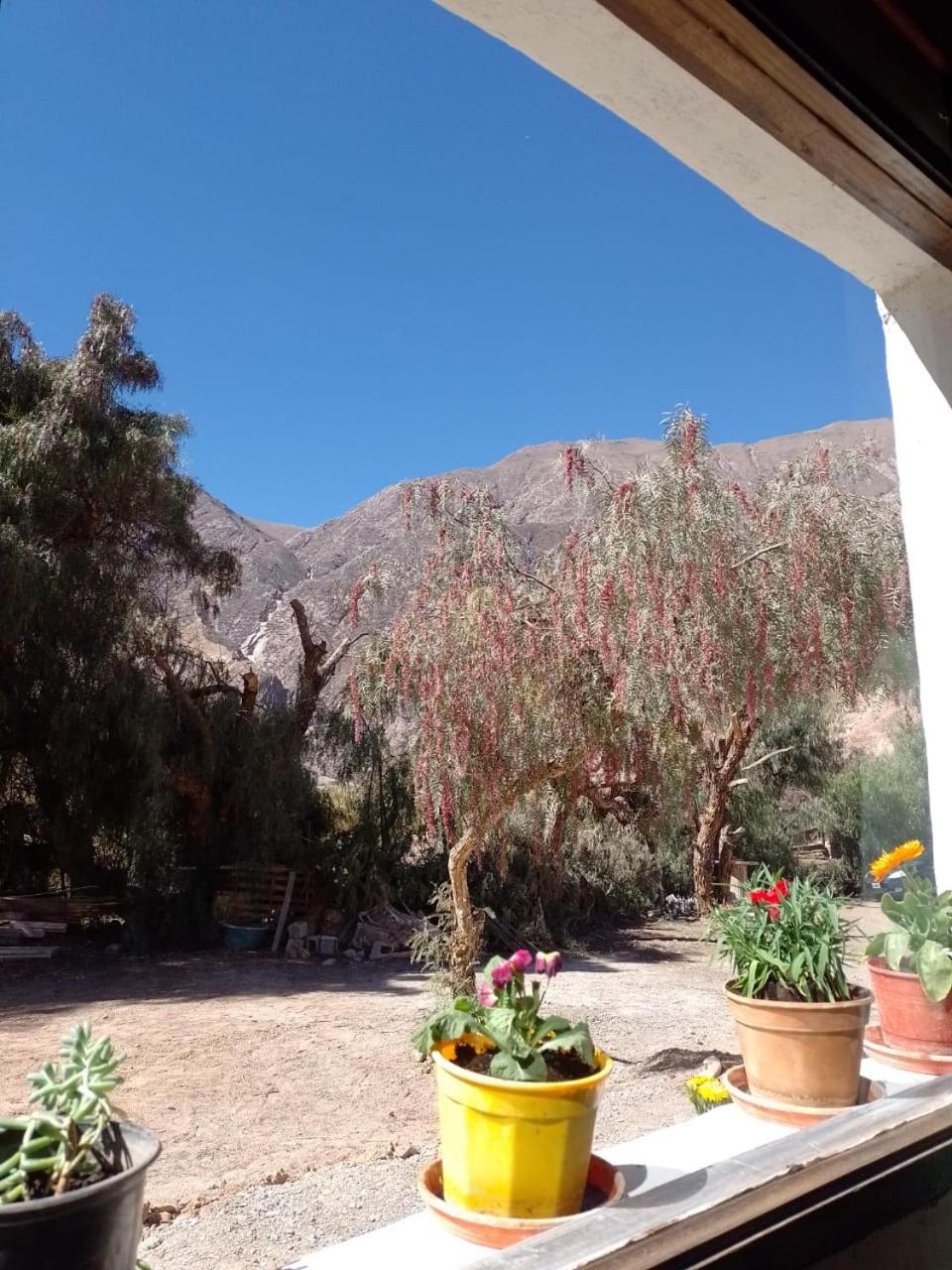 Cabañas APU