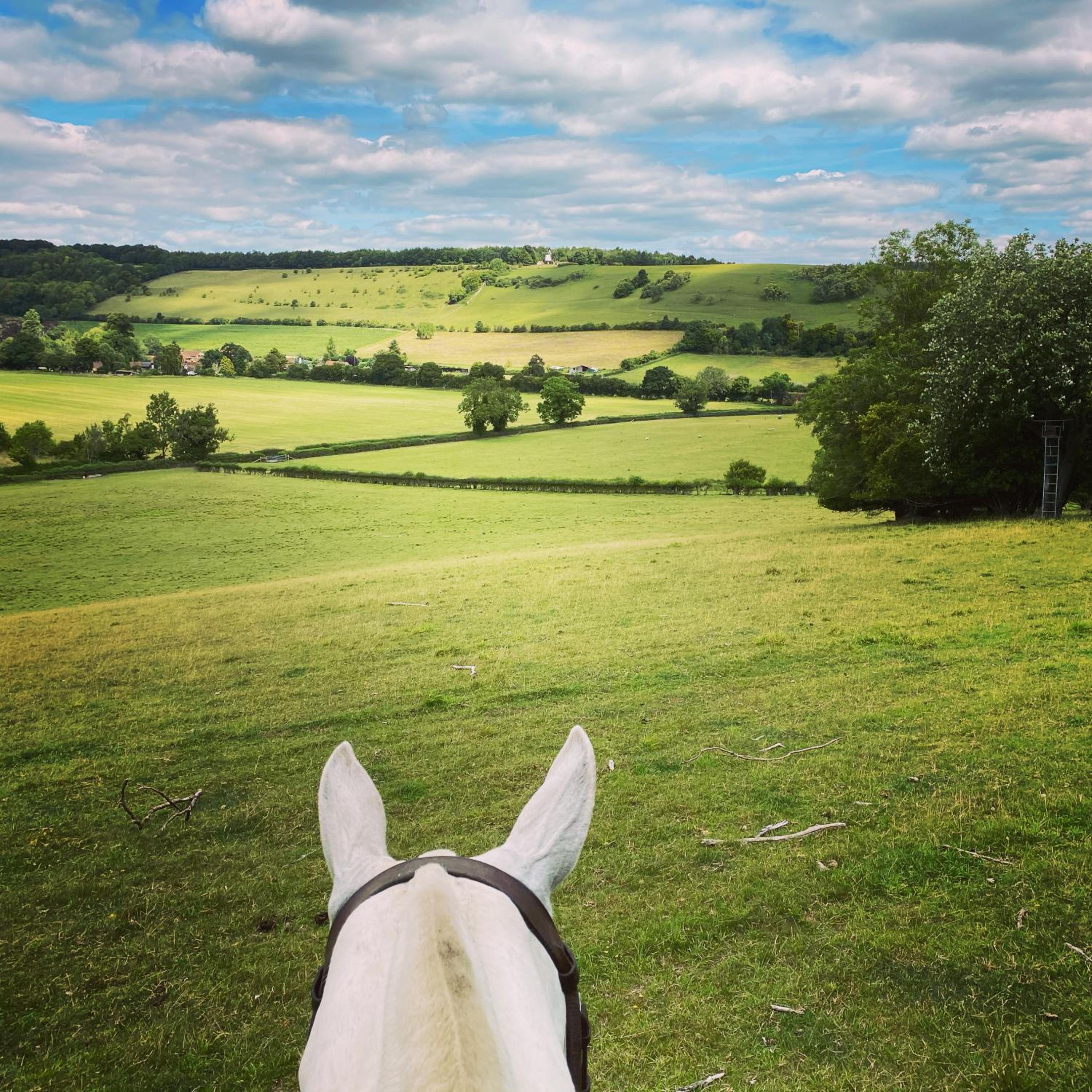 Perfectly Positioned Hambleden House