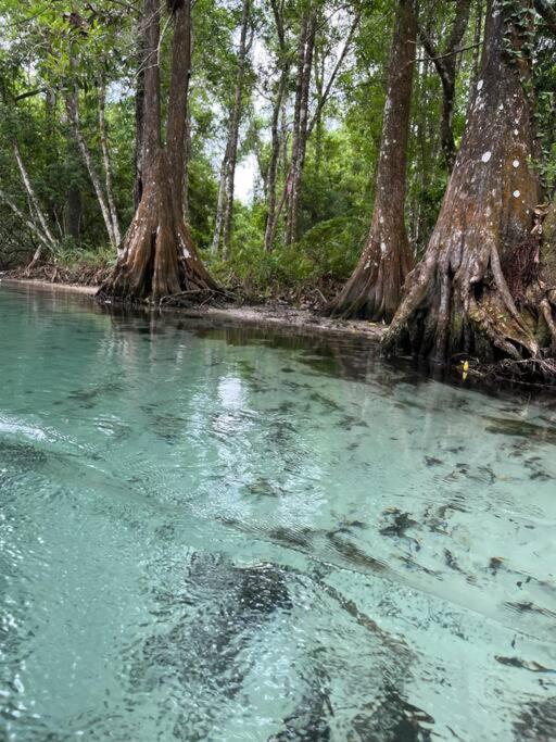 Weeki Wachee Retreat Canal home with hot tub kayaks canoe and boat with trolling motor included