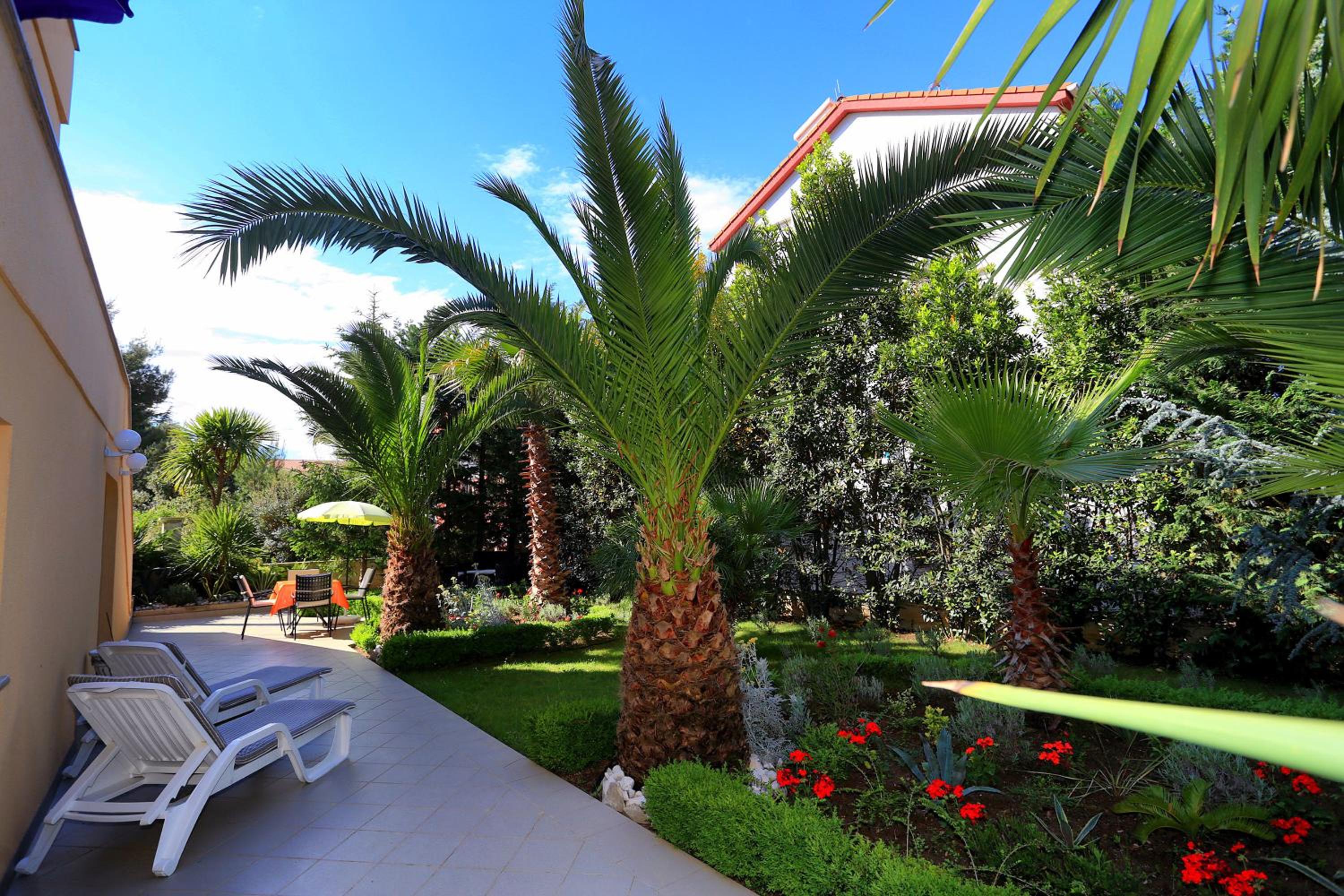 Villa Jelena view 5