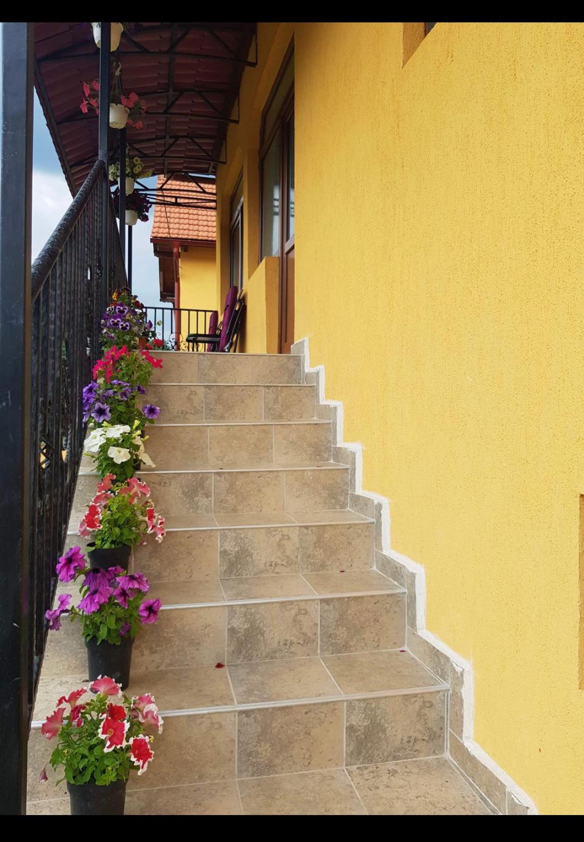 Casa Roșca