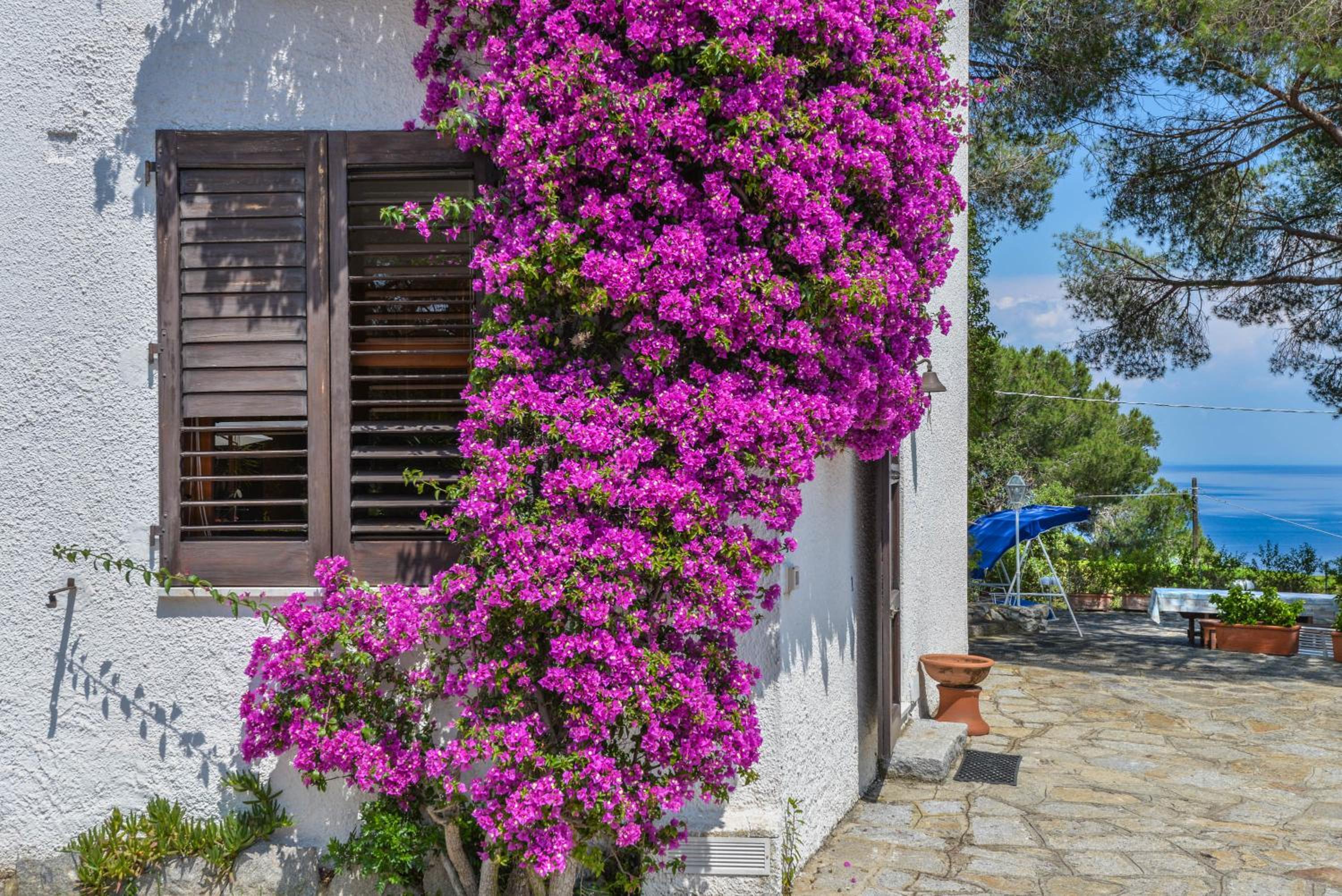 Villa Ottagonale