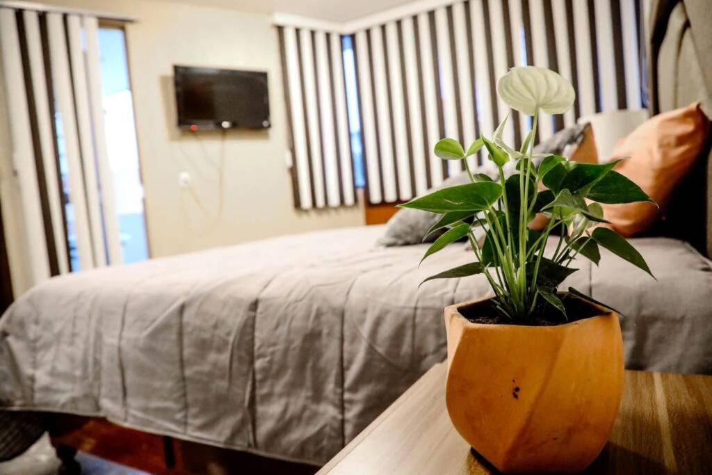 hotel room