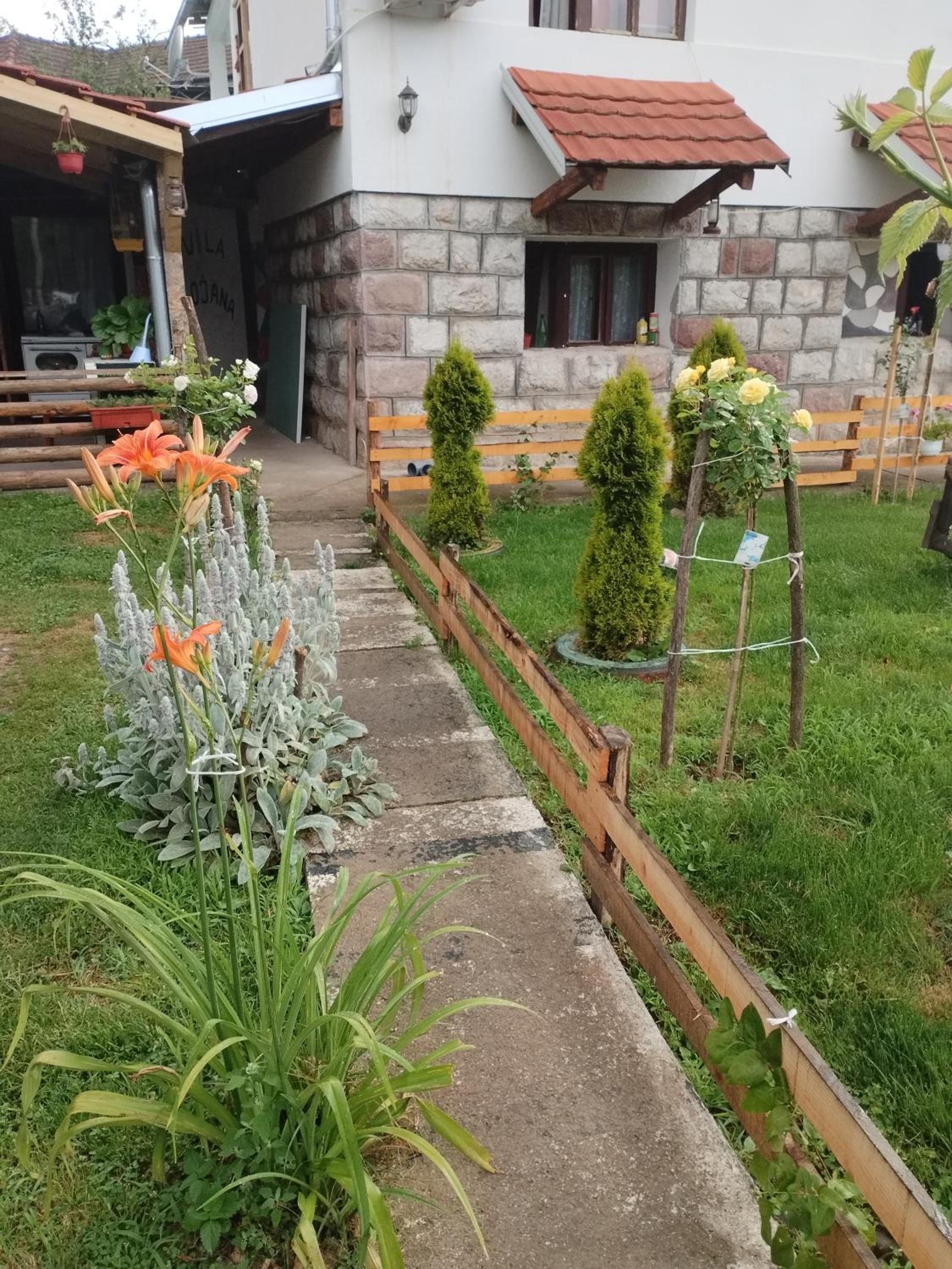 VILA BOJANA view 3