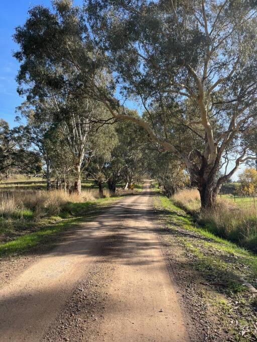 Glenisla Farm House near Benalla