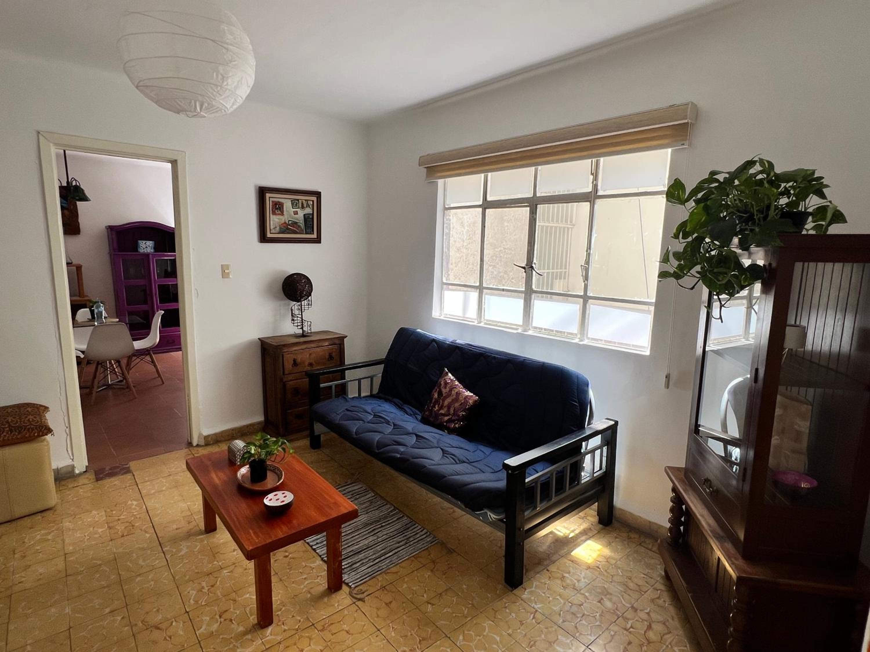 Condesa-Roma Norte Charming Mexican Style Apartment