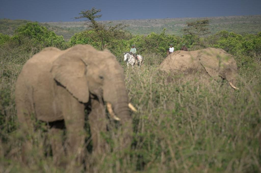Narasha Homestay - Maasai Mara view 5
