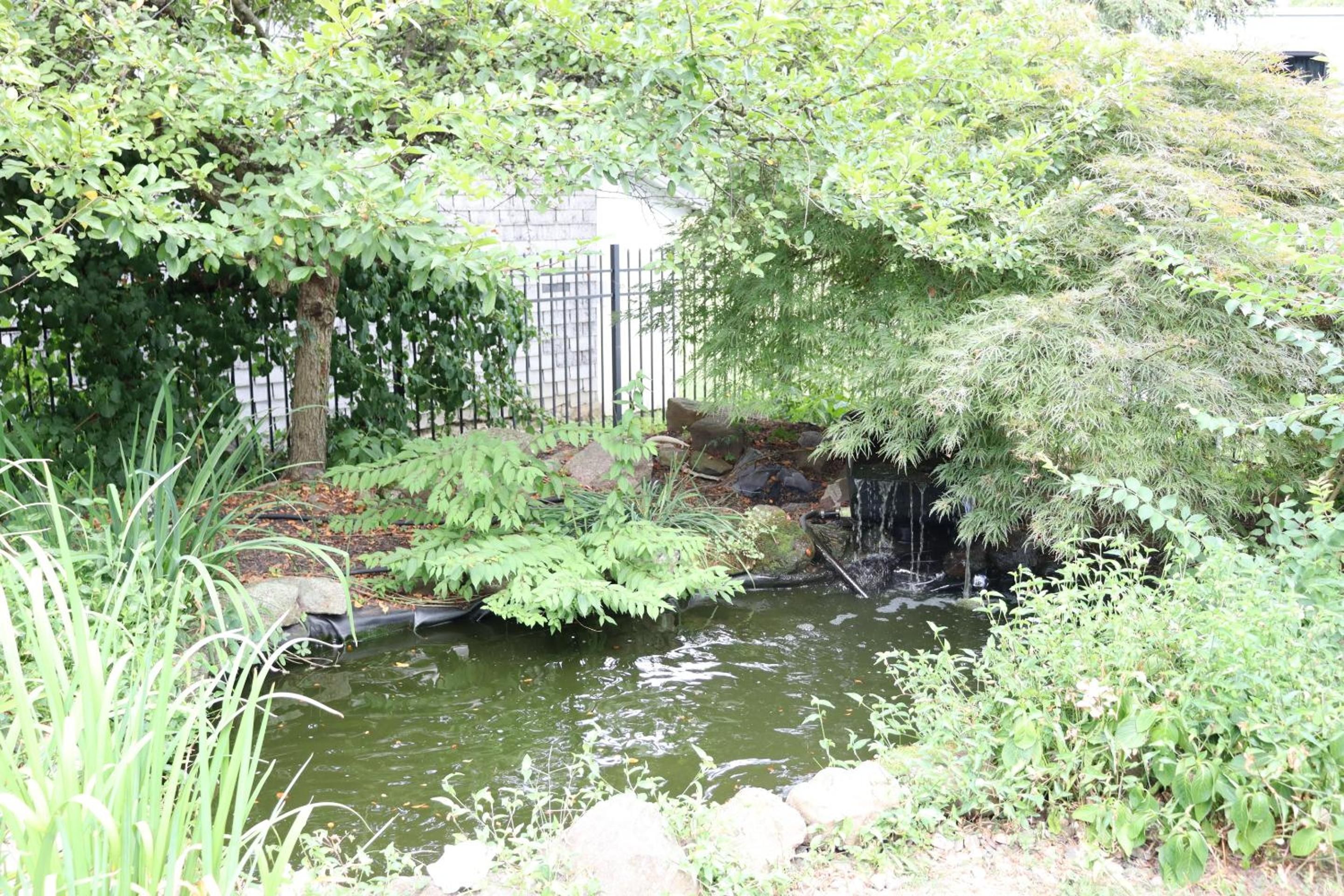 Photo 23