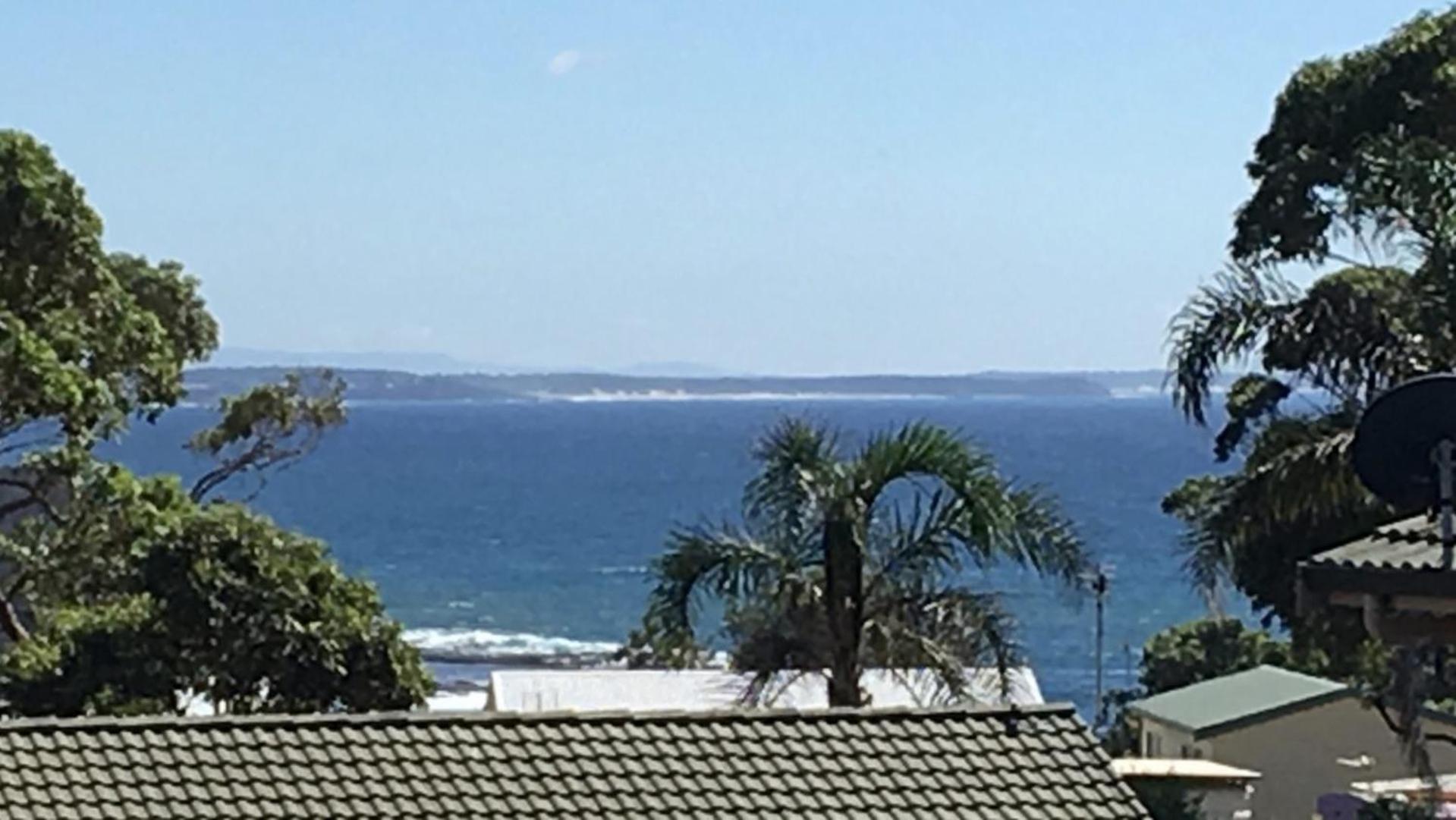 Lighthouse Palms