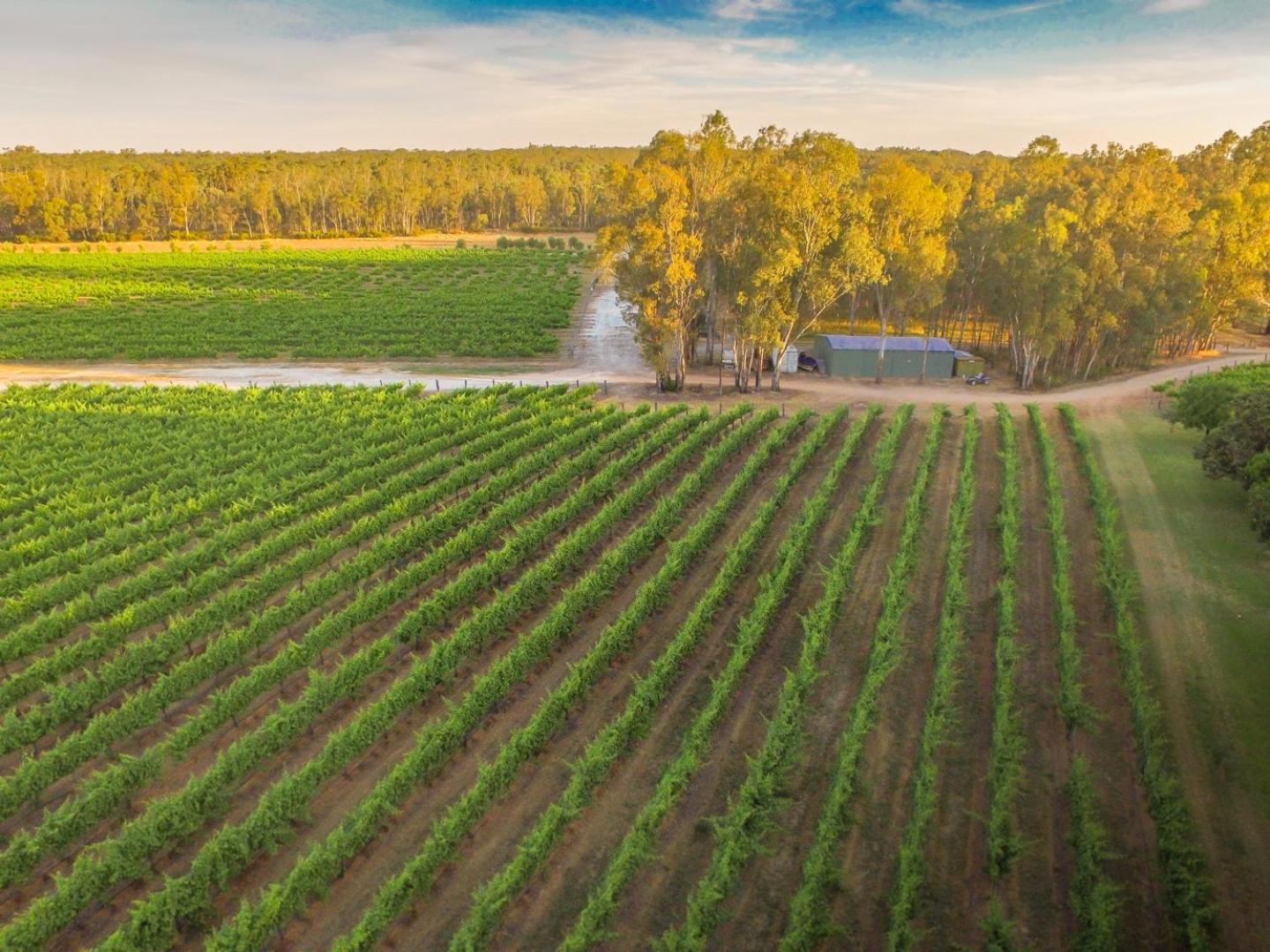 Cape Horn Vineyard 5 Bedroom Riverfront House on Working Vineyard