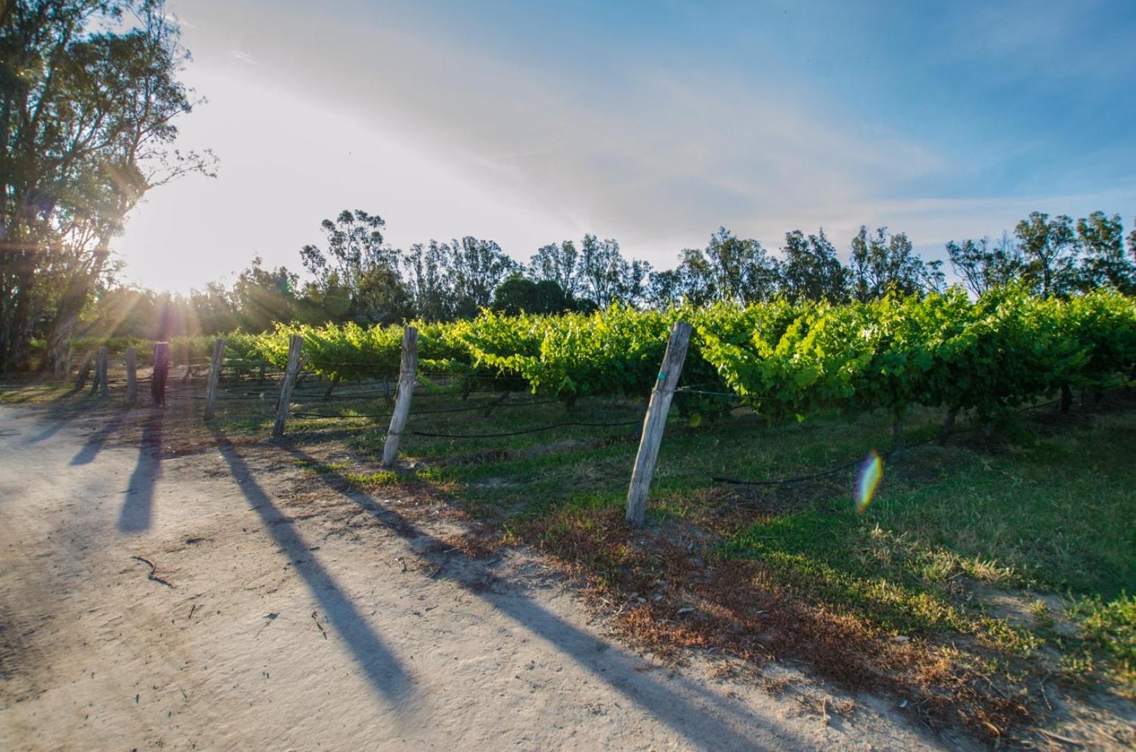 Cape Horn Vineyard 5 Bedroom Riverfront House on Working Vineyard