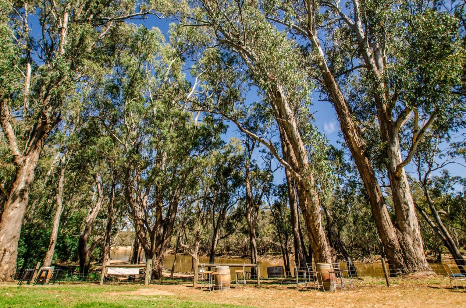 Cape Horn Vineyard 5 Bedroom Riverfront House on Working Vineyard