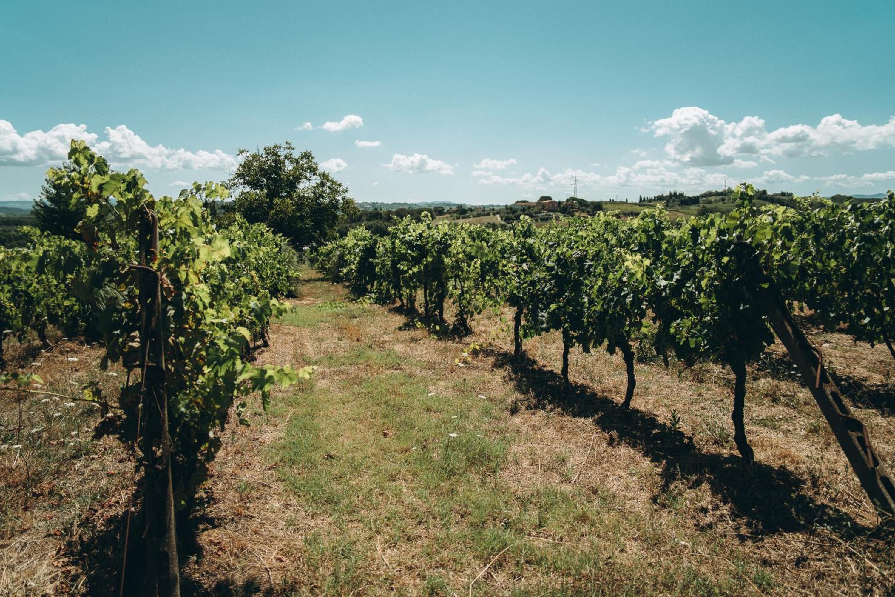 Agriturismo Terra Di Dio Toscanizzazione