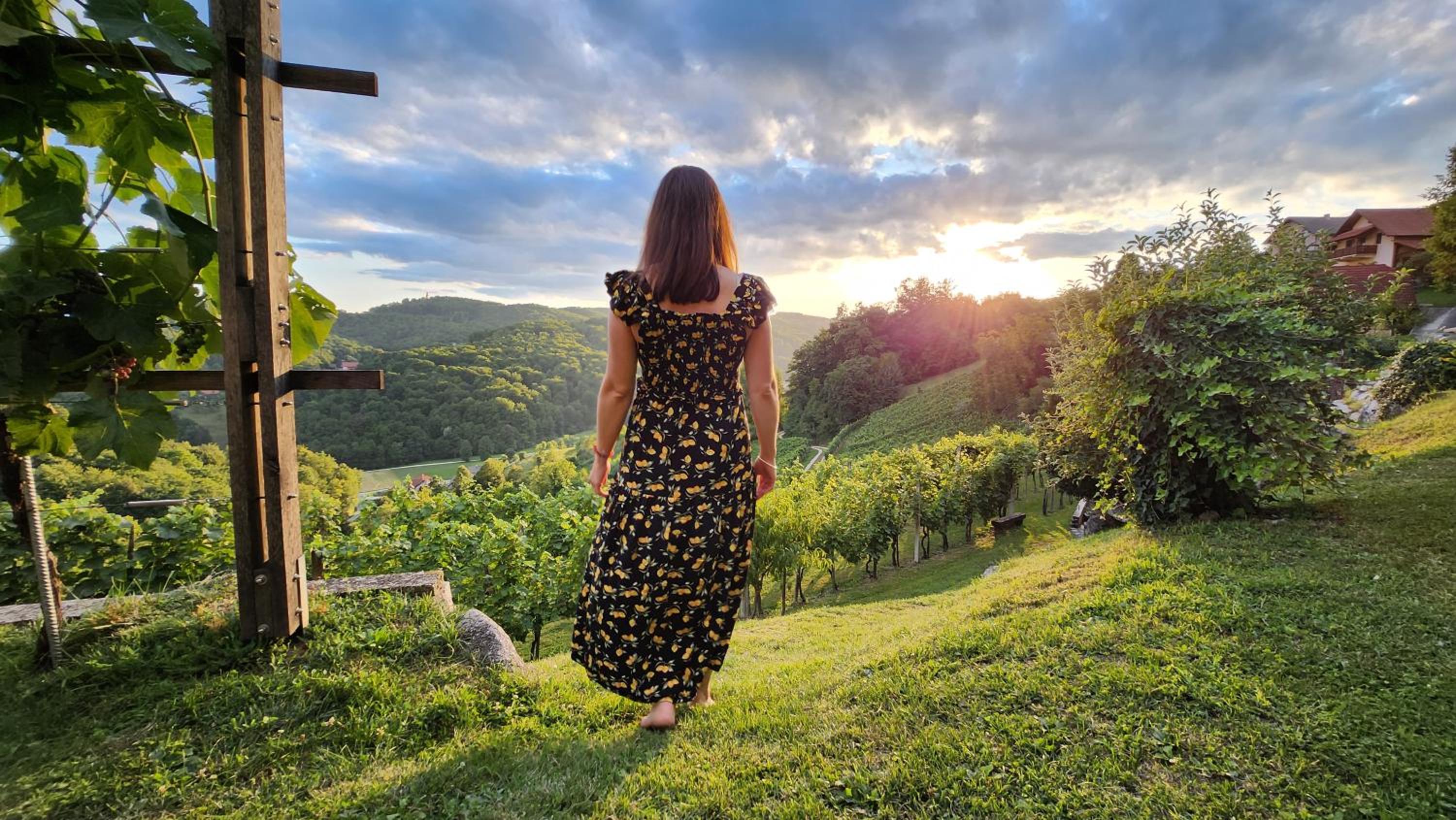 Vineyard cottage Podržaj view 2