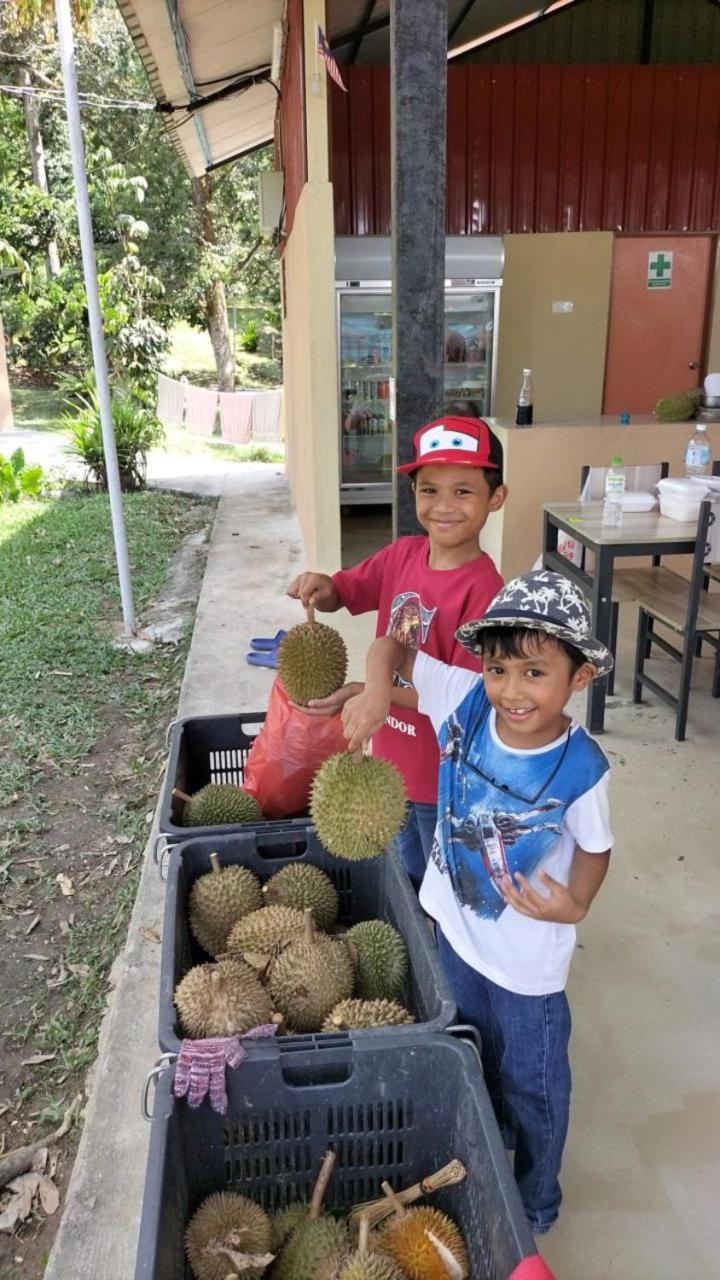 Rasa Durio Eco Glampz photo 3