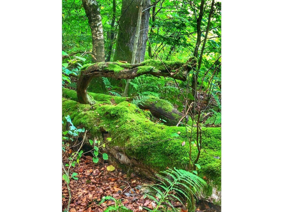 Ravensberg