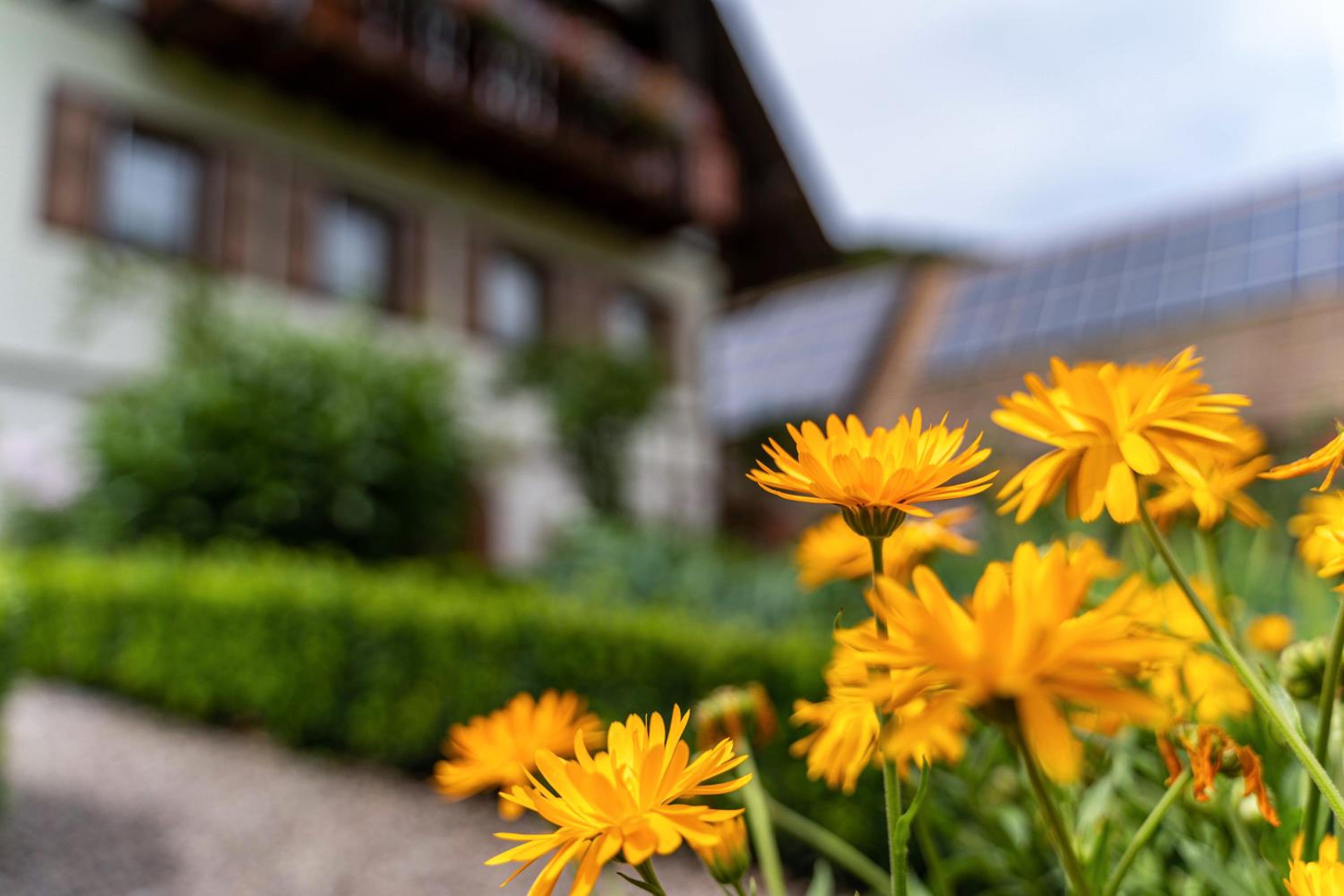 Am Döttelbach